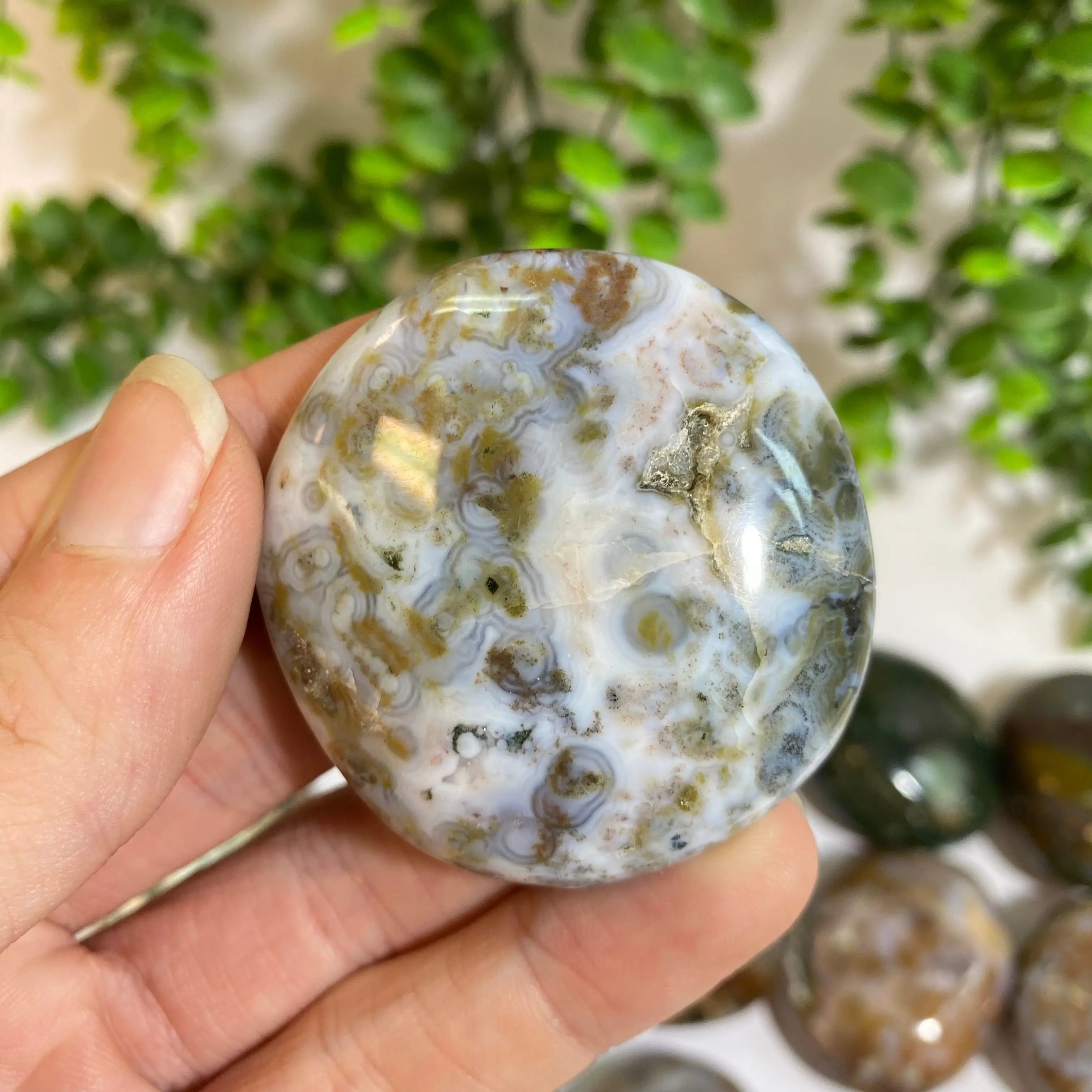 Ocean Jasper Palm Stone Arabella Crystals