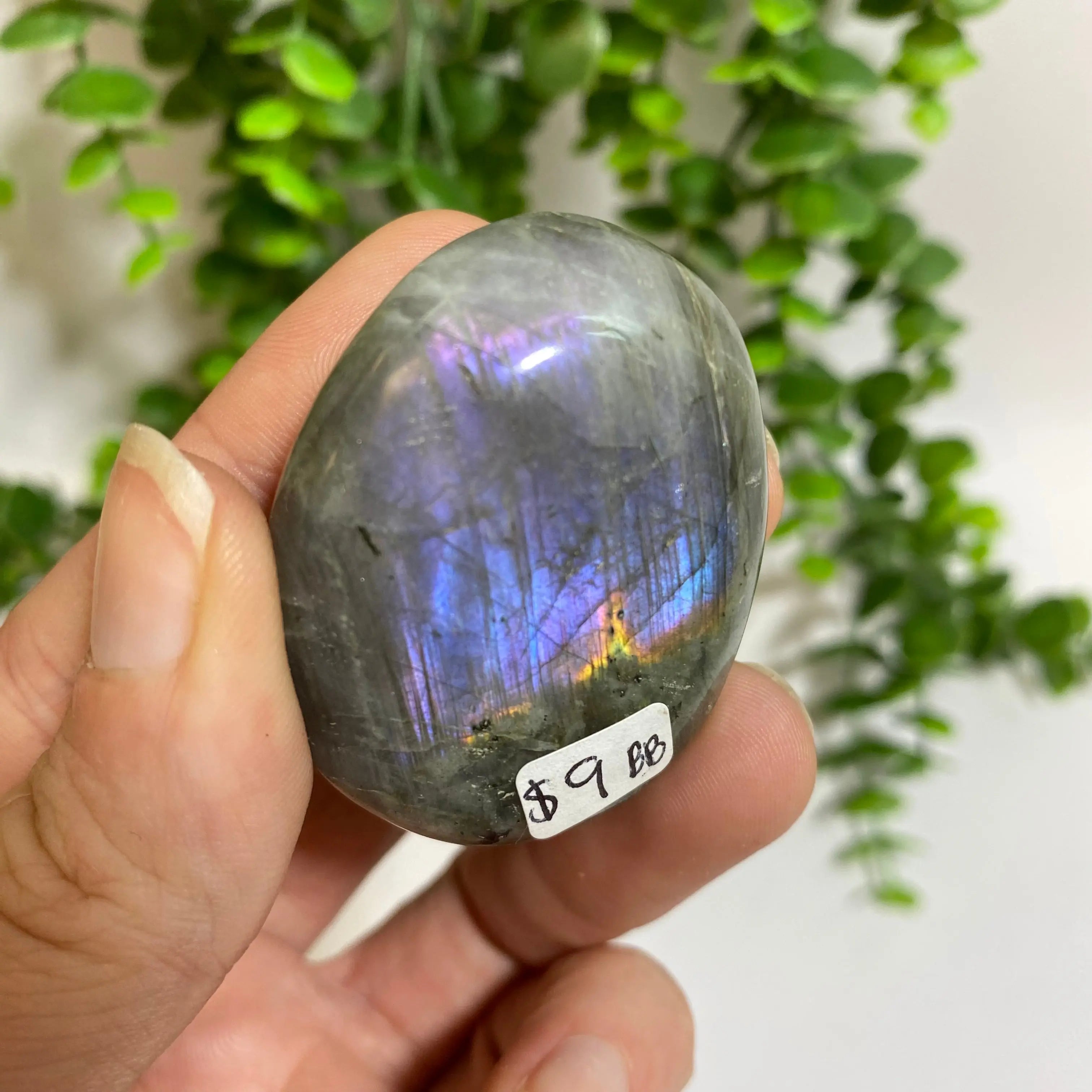 Purple Labradorite Palm Stone Arabella Crystals