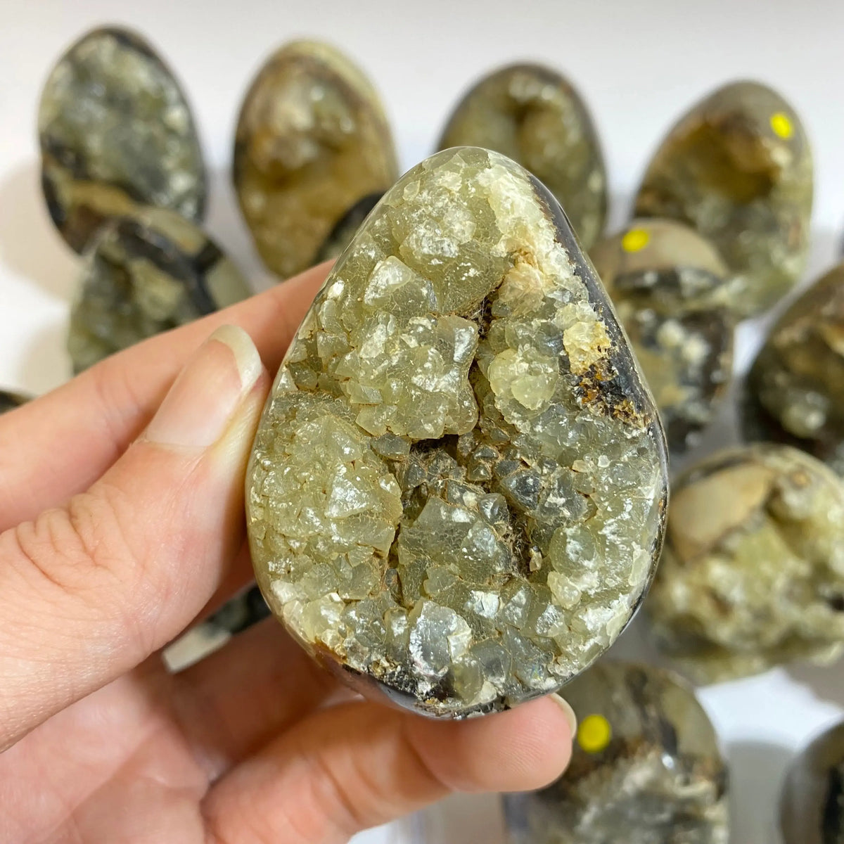 Septarian Agate Egg Arabella Crystals