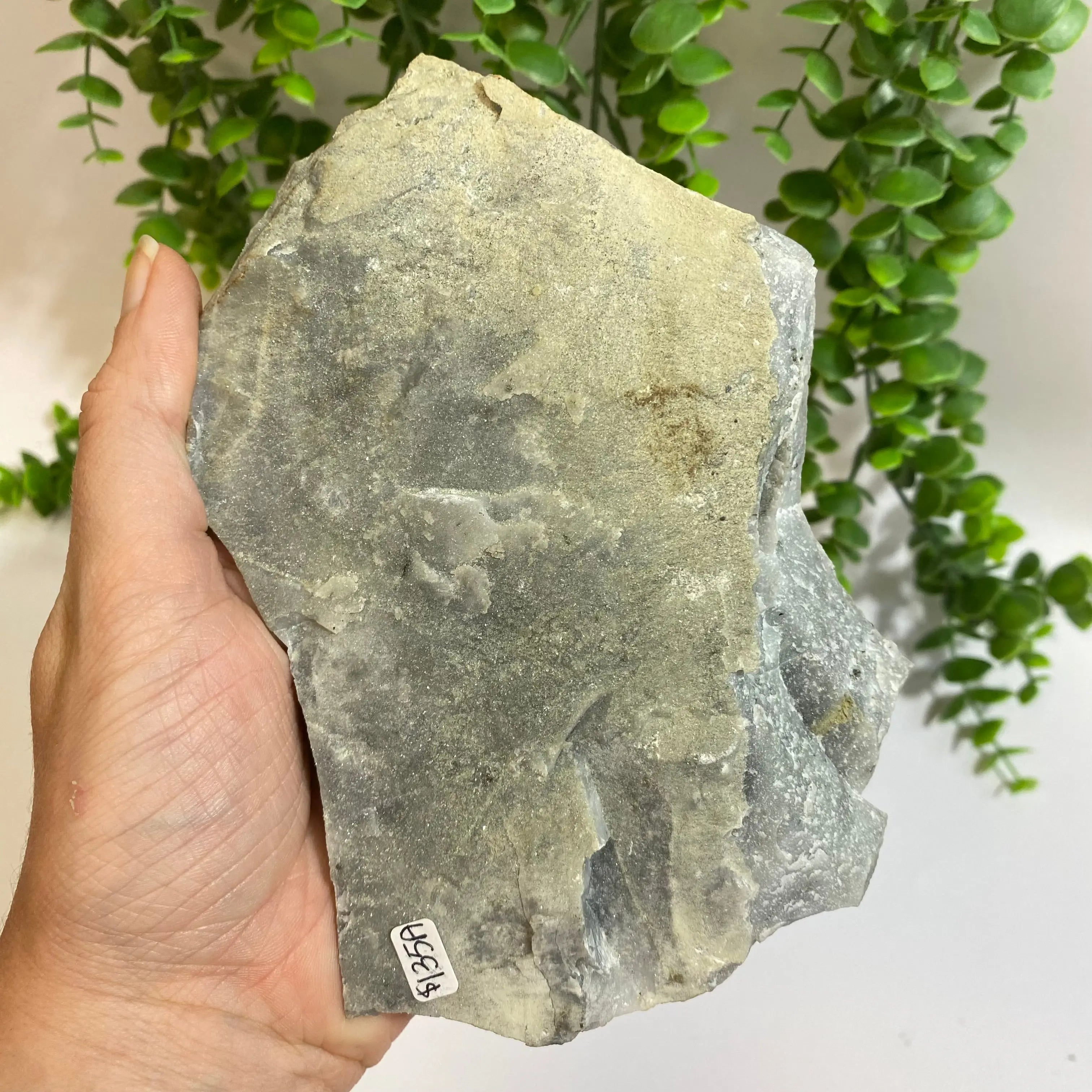 Bulgarian Quartz Cluster Arabella Crystals