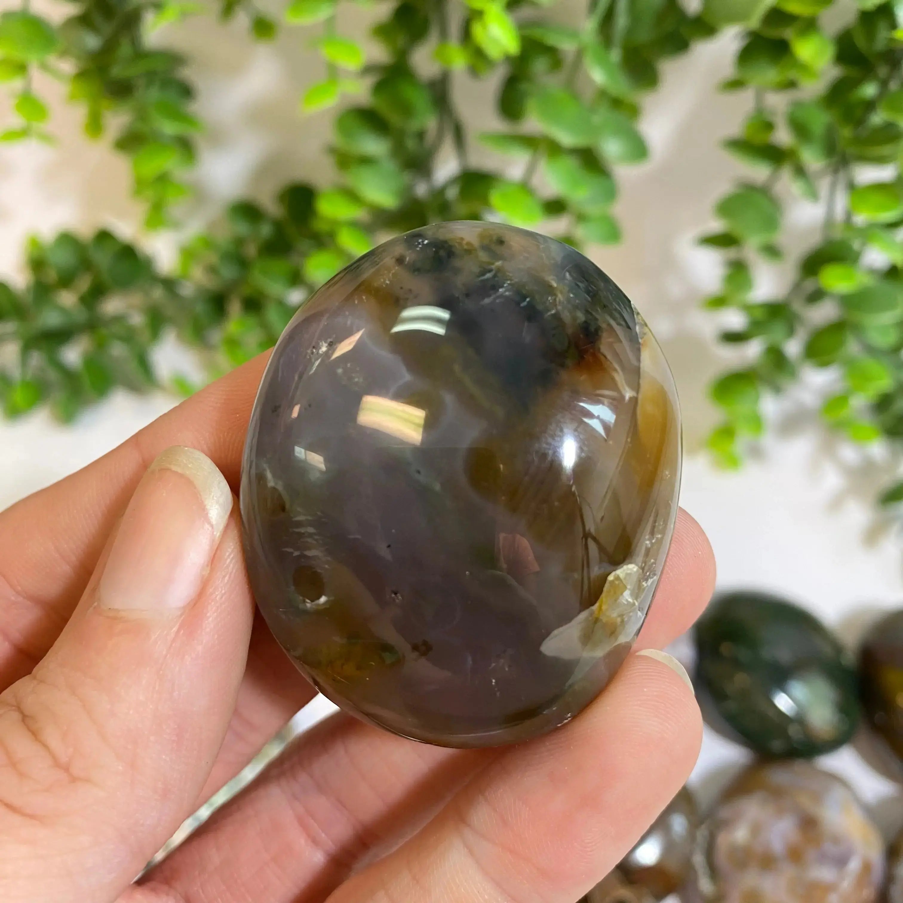 Ocean Jasper Palm Stone Arabella Crystals