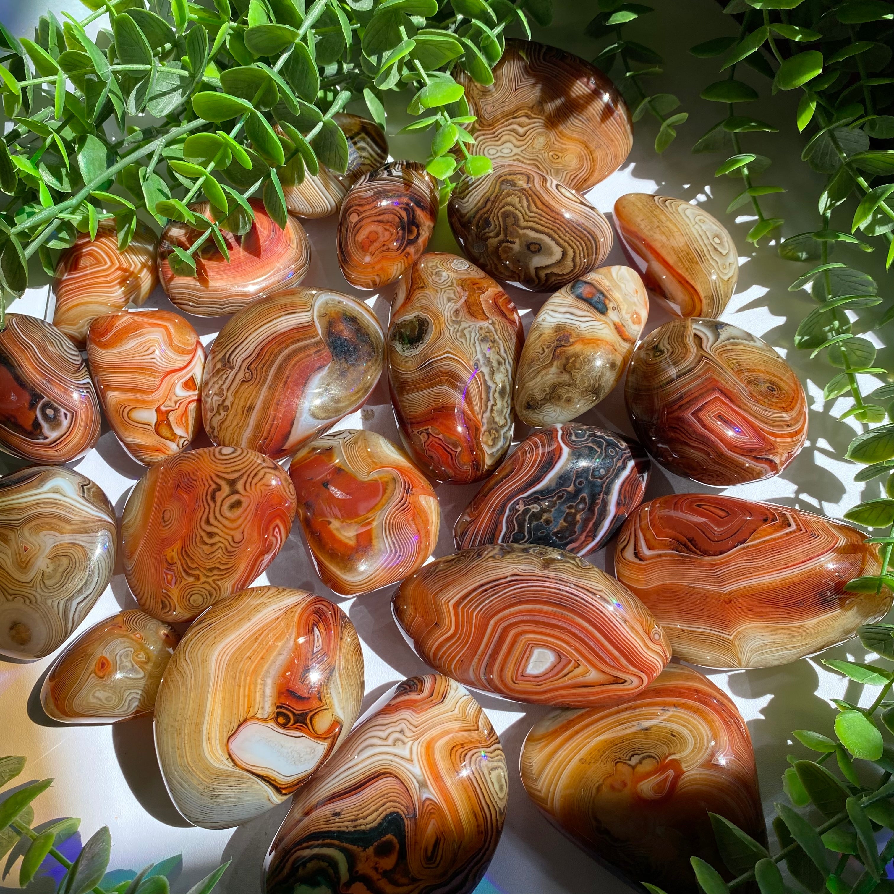 Sardonyx (Carnelian X Onyx) Palm Stone
