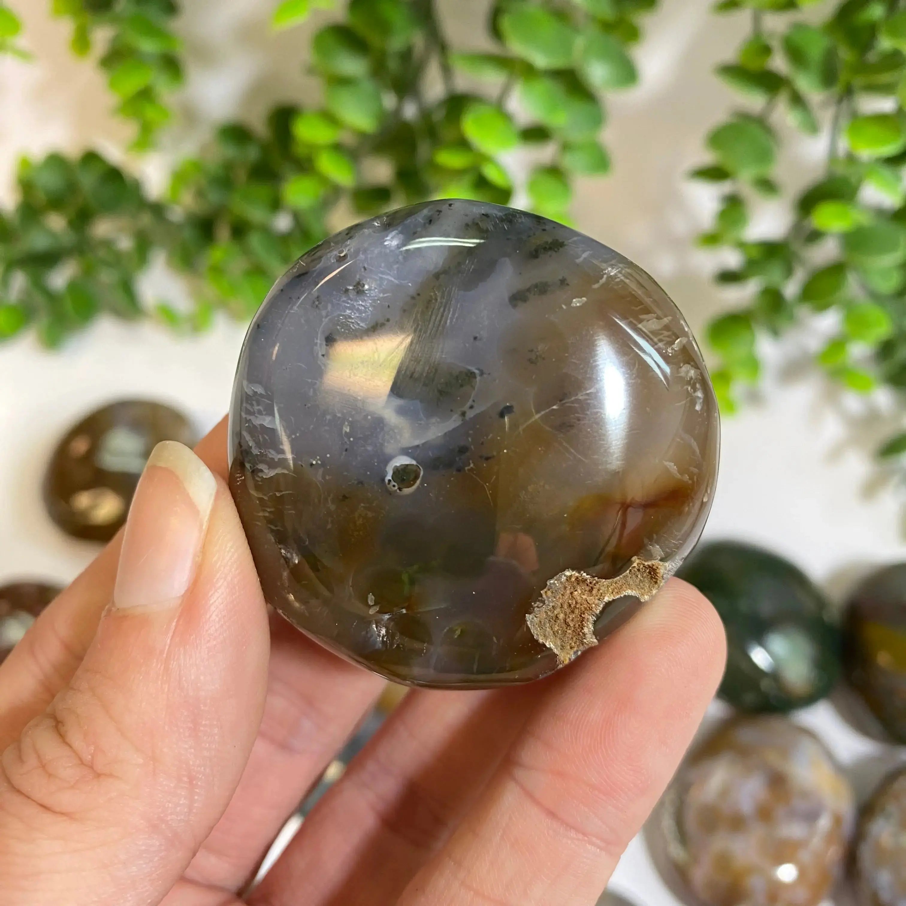 Ocean Jasper Palm Stone Arabella Crystals