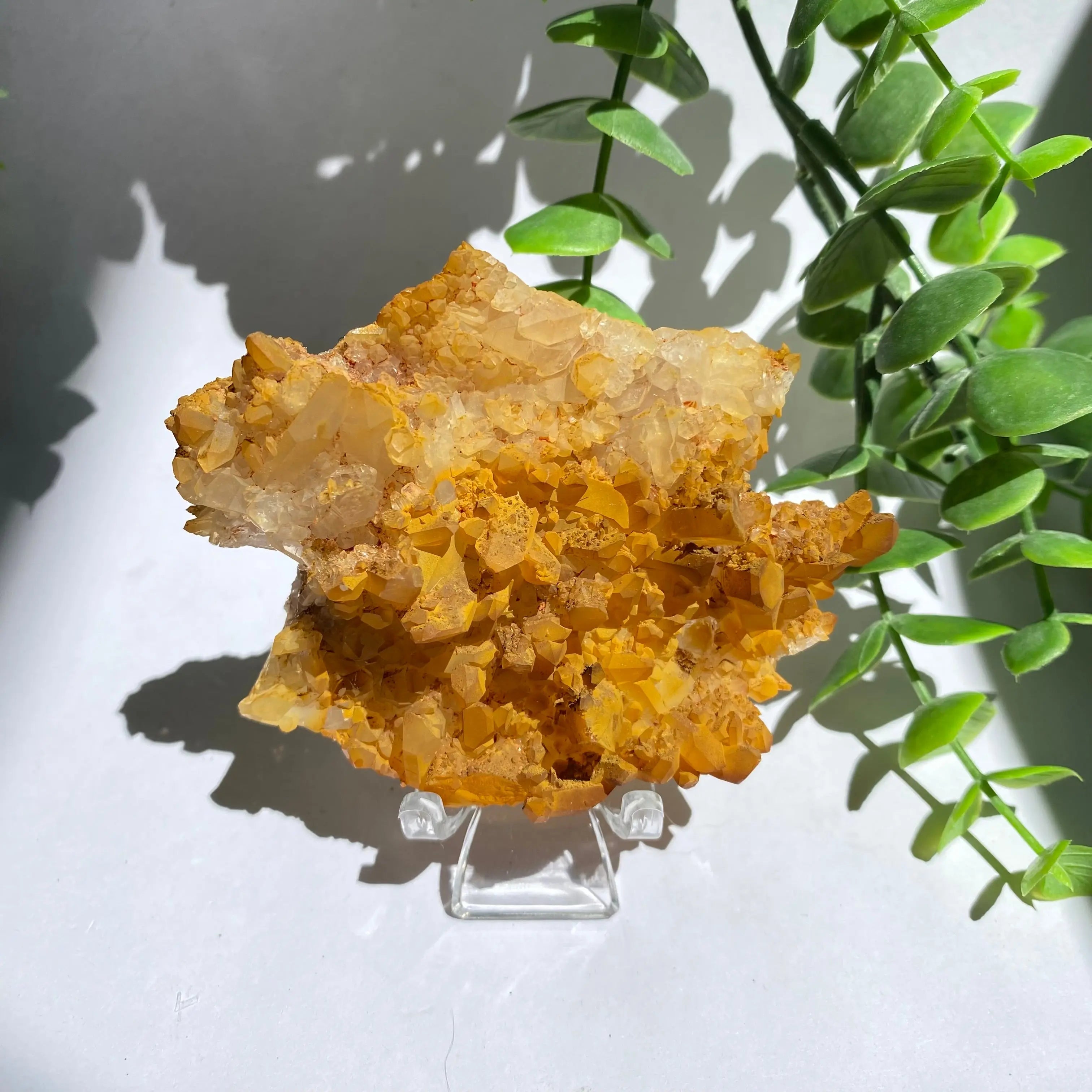 Golden Healer Cluster Arabella Crystals