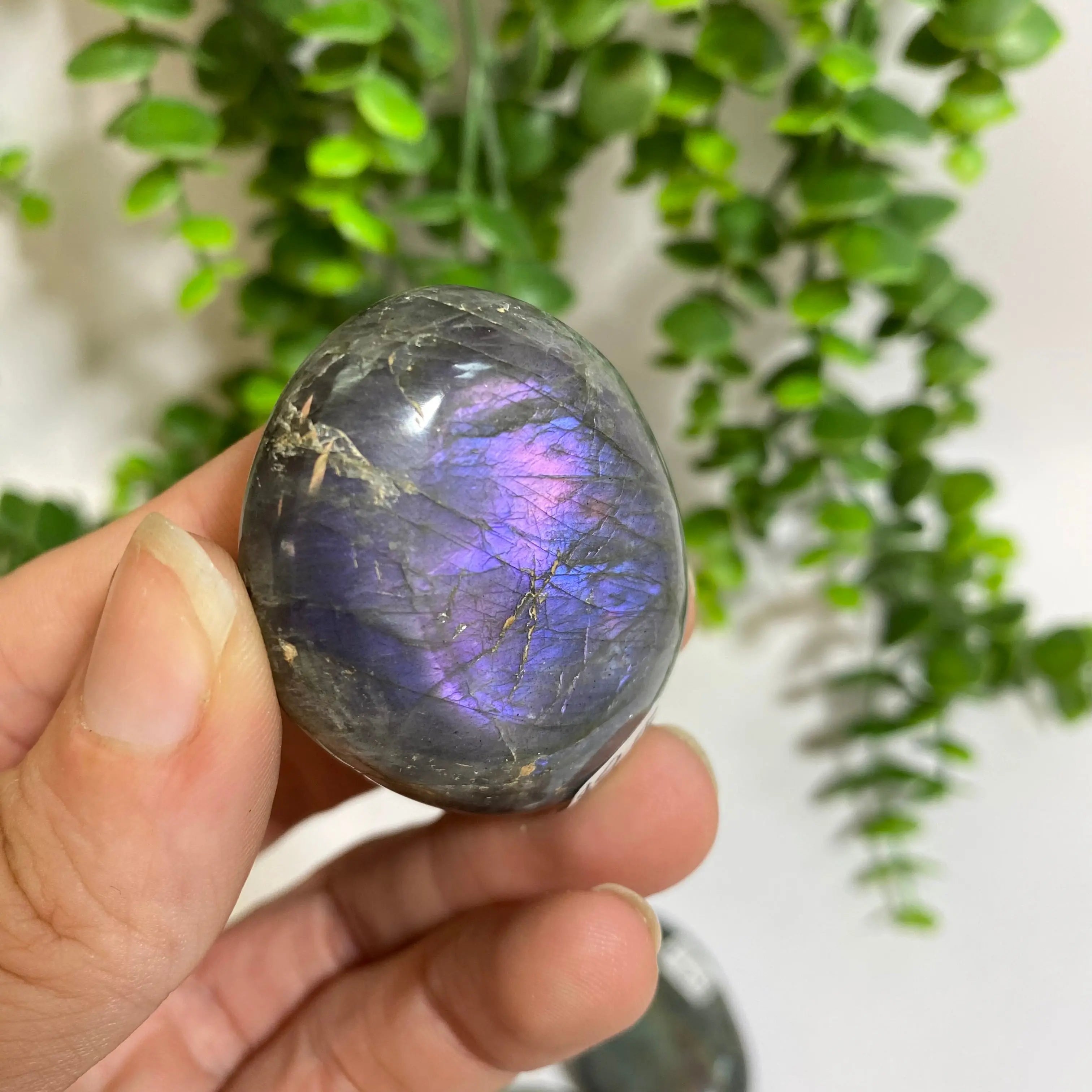 Purple Labradorite Palm Stone Arabella Crystals