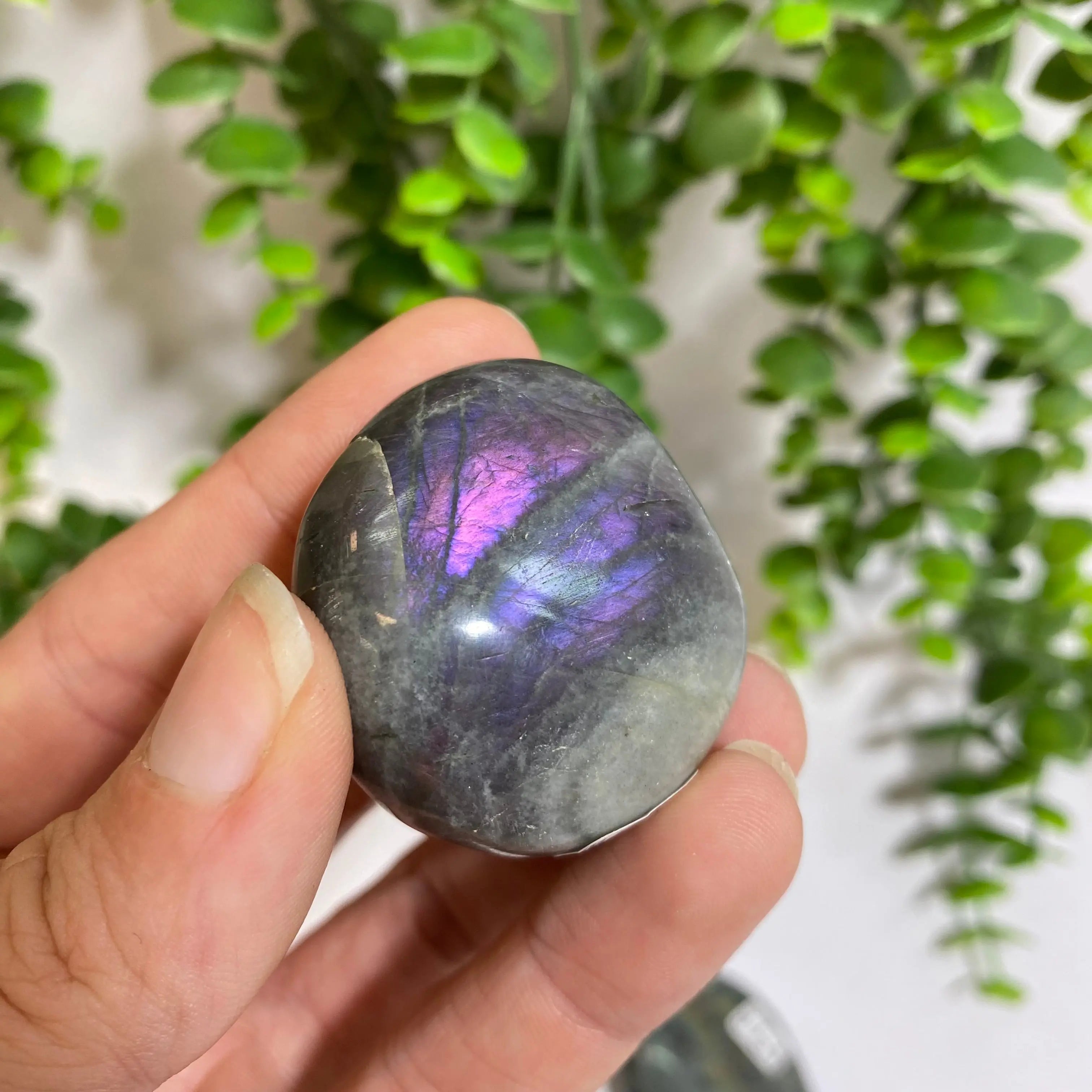 Purple Labradorite Palm Stone Arabella Crystals