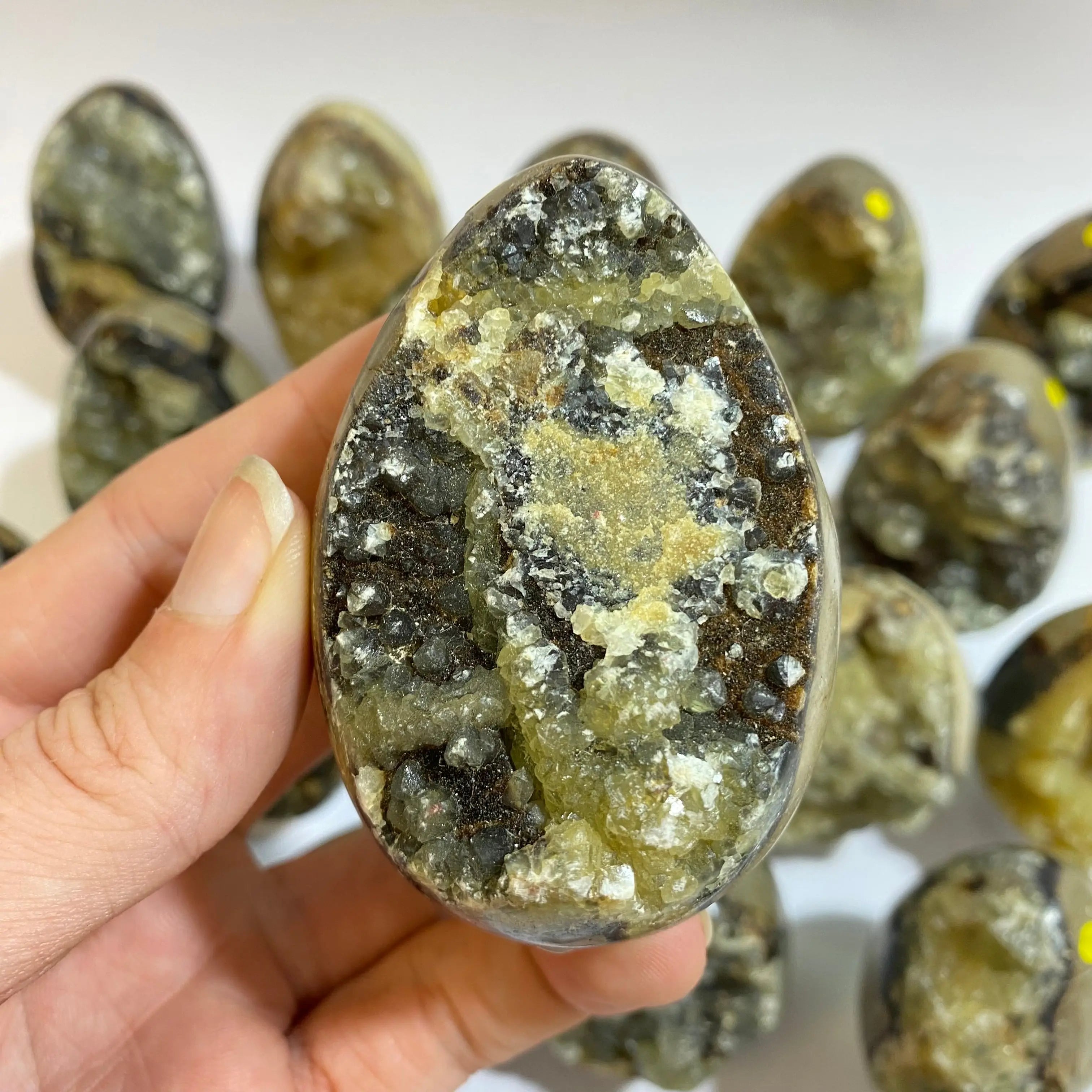 Septarian Agate Egg Arabella Crystals