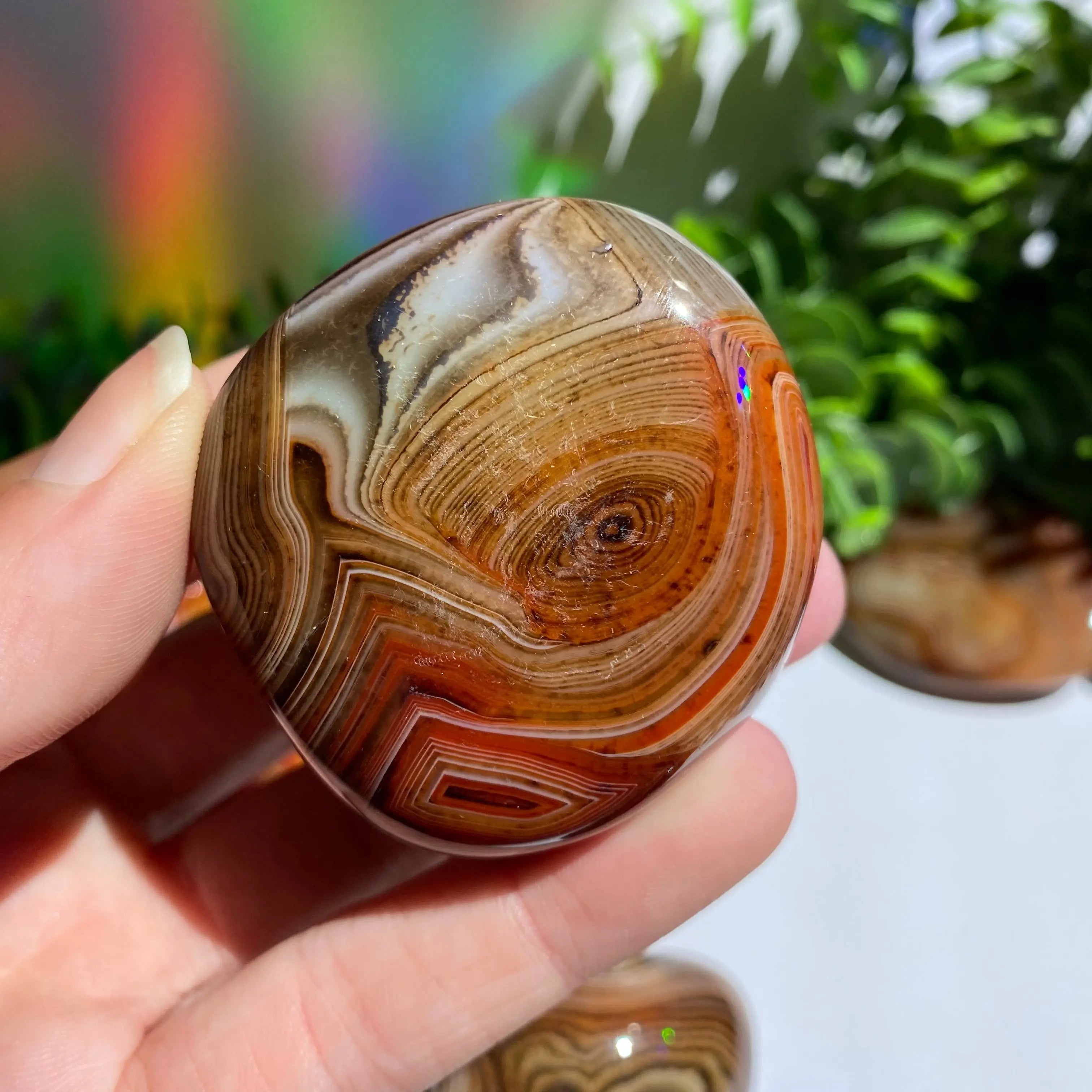 Sardonyx (Carnelian X Onyx) Palm Stone for Passion & Creativity