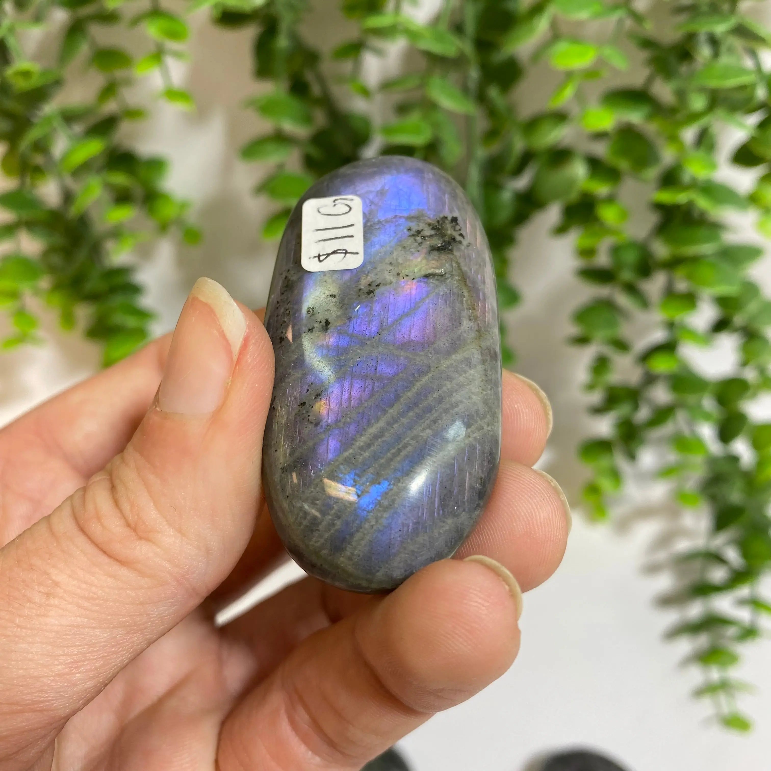 Purple Labradorite Palm Stone Arabella Crystals