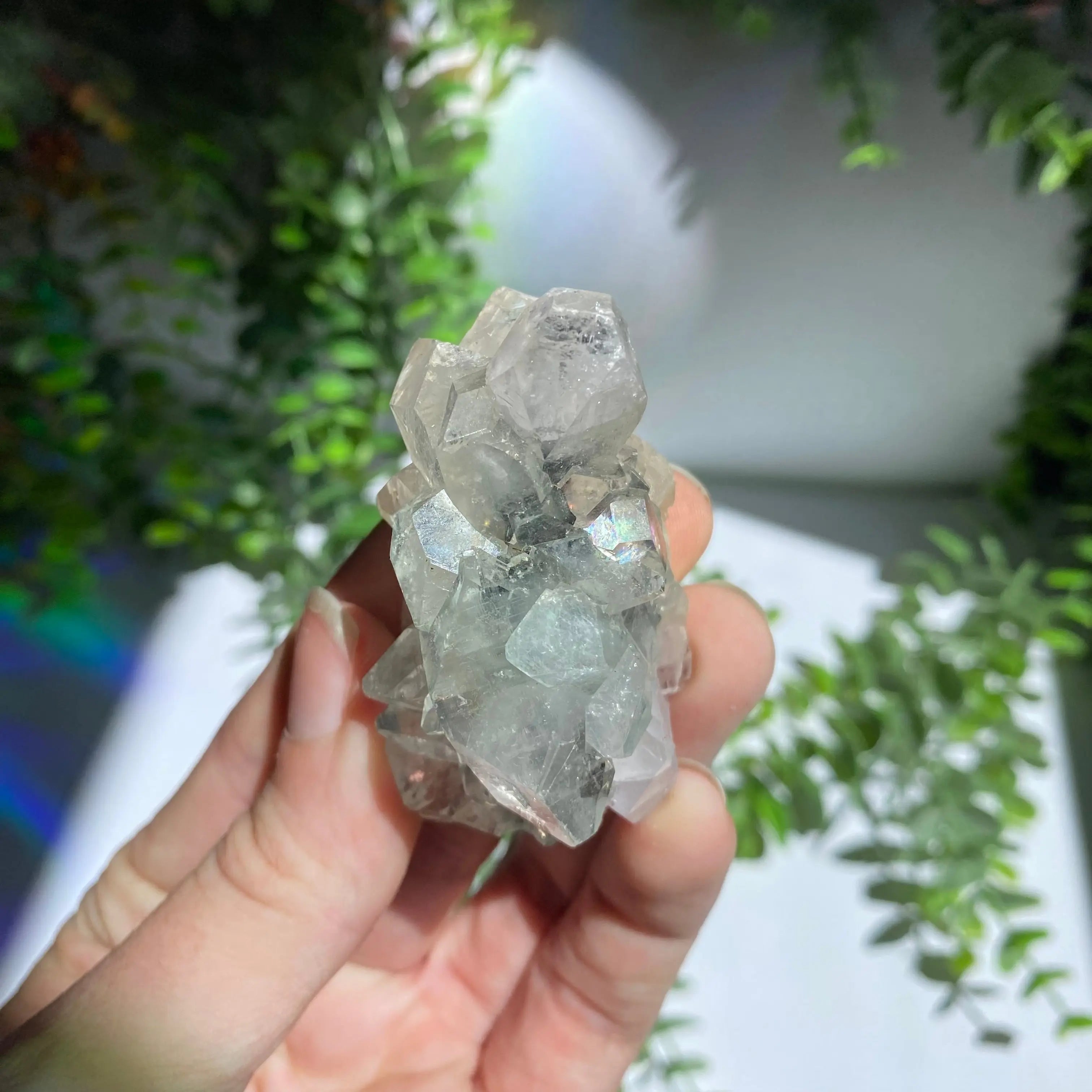 Zeolite Cluster Arabella Crystals