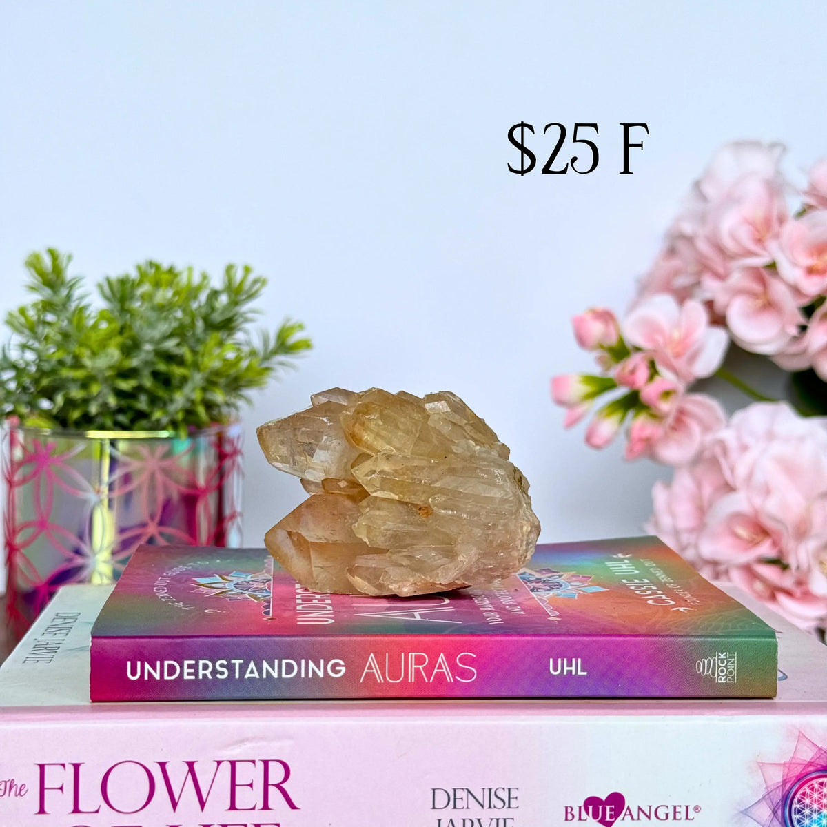 Kundalini Citrine Clusters Arabella Crystals