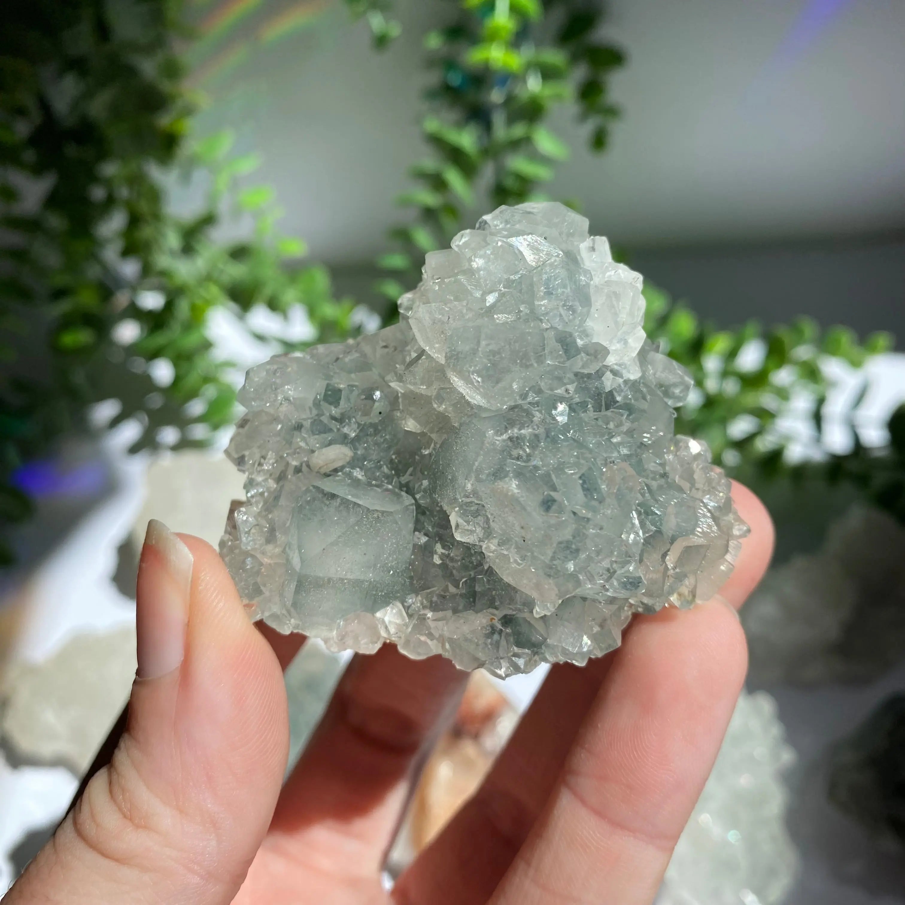 Zeolite Cluster Arabella Crystals