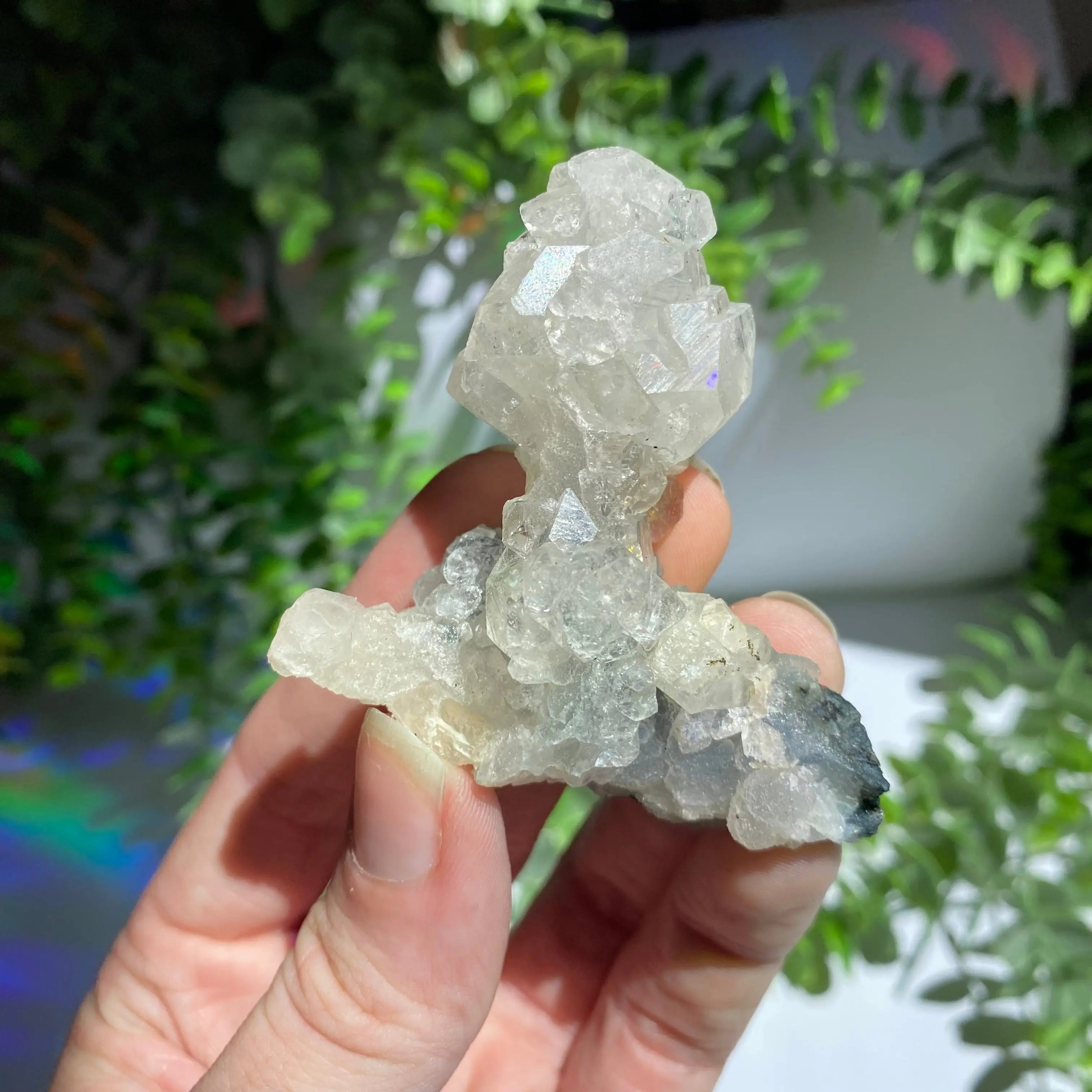 Zeolite Cluster Arabella Crystals