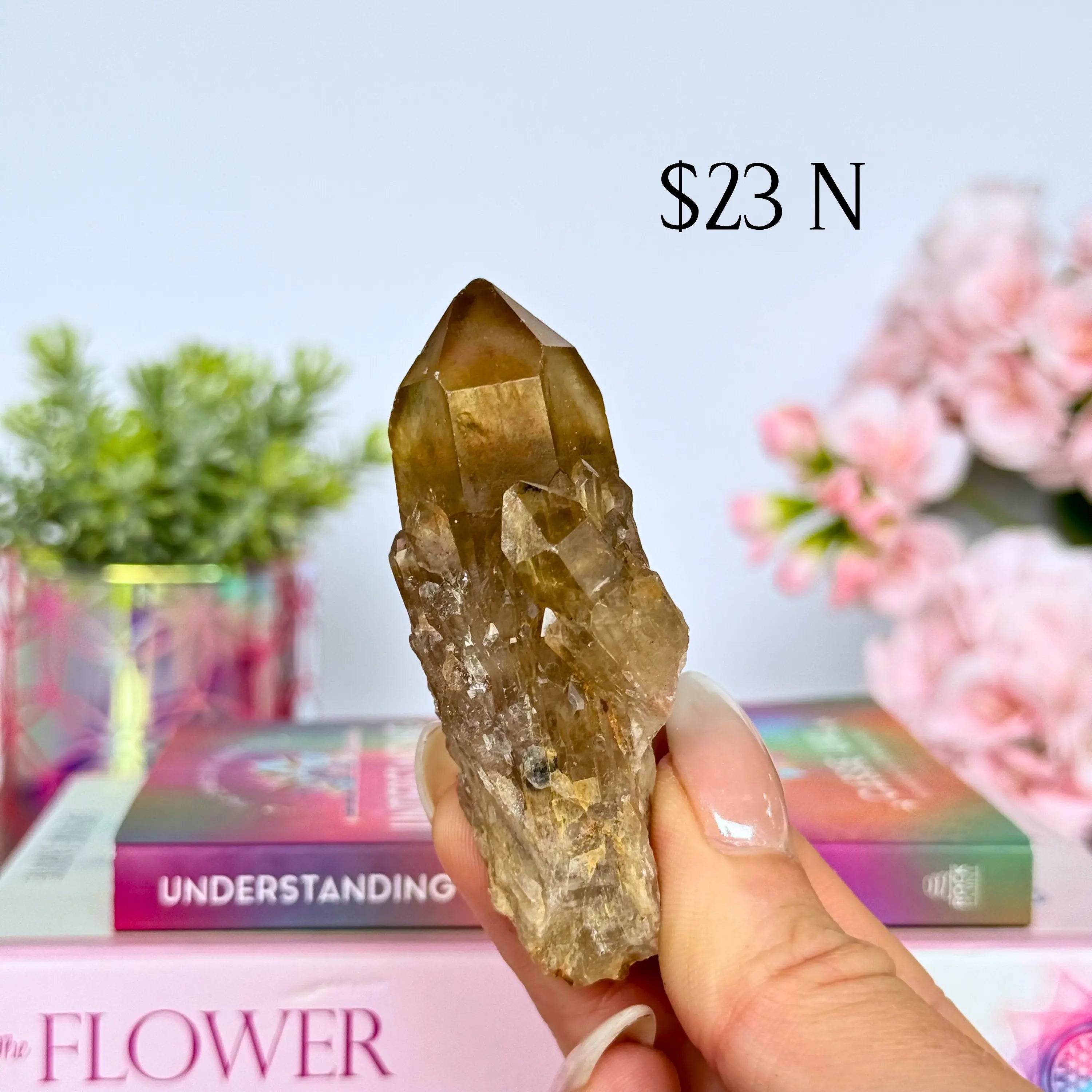 Kundalini Citrine Clusters Arabella Crystals