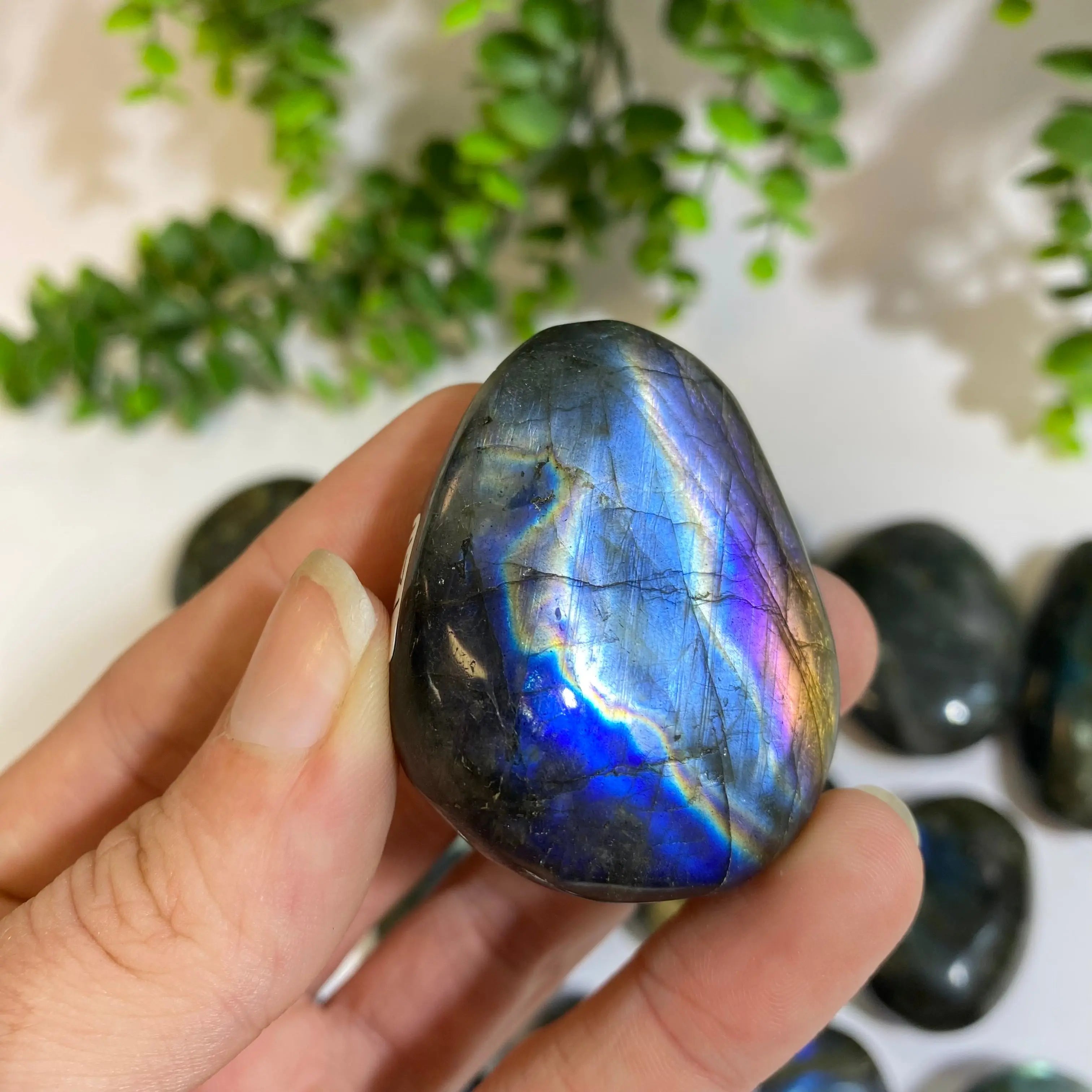 Labradorite Palm Stone Arabella Crystals