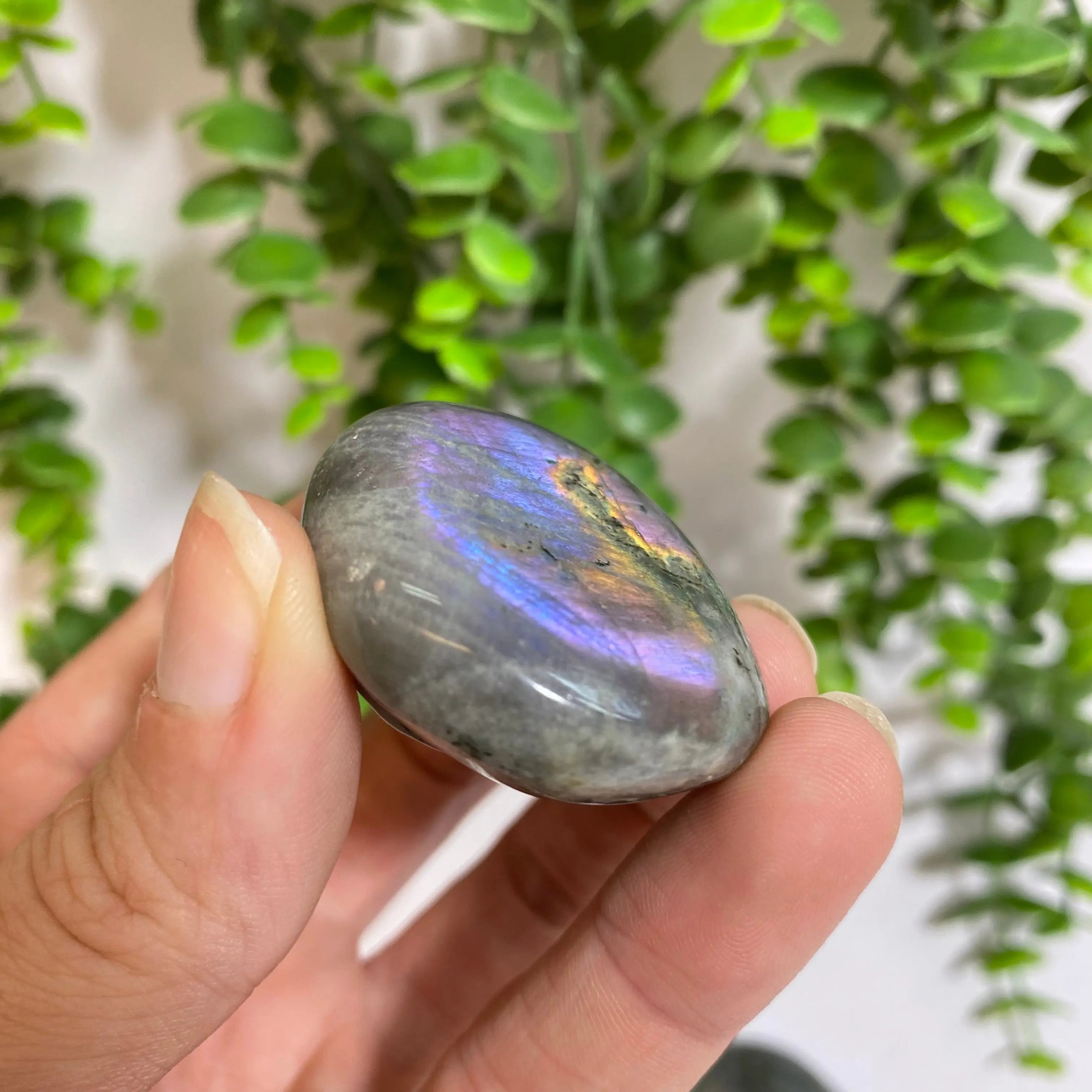 Purple Labradorite Palm Stone Arabella Crystals