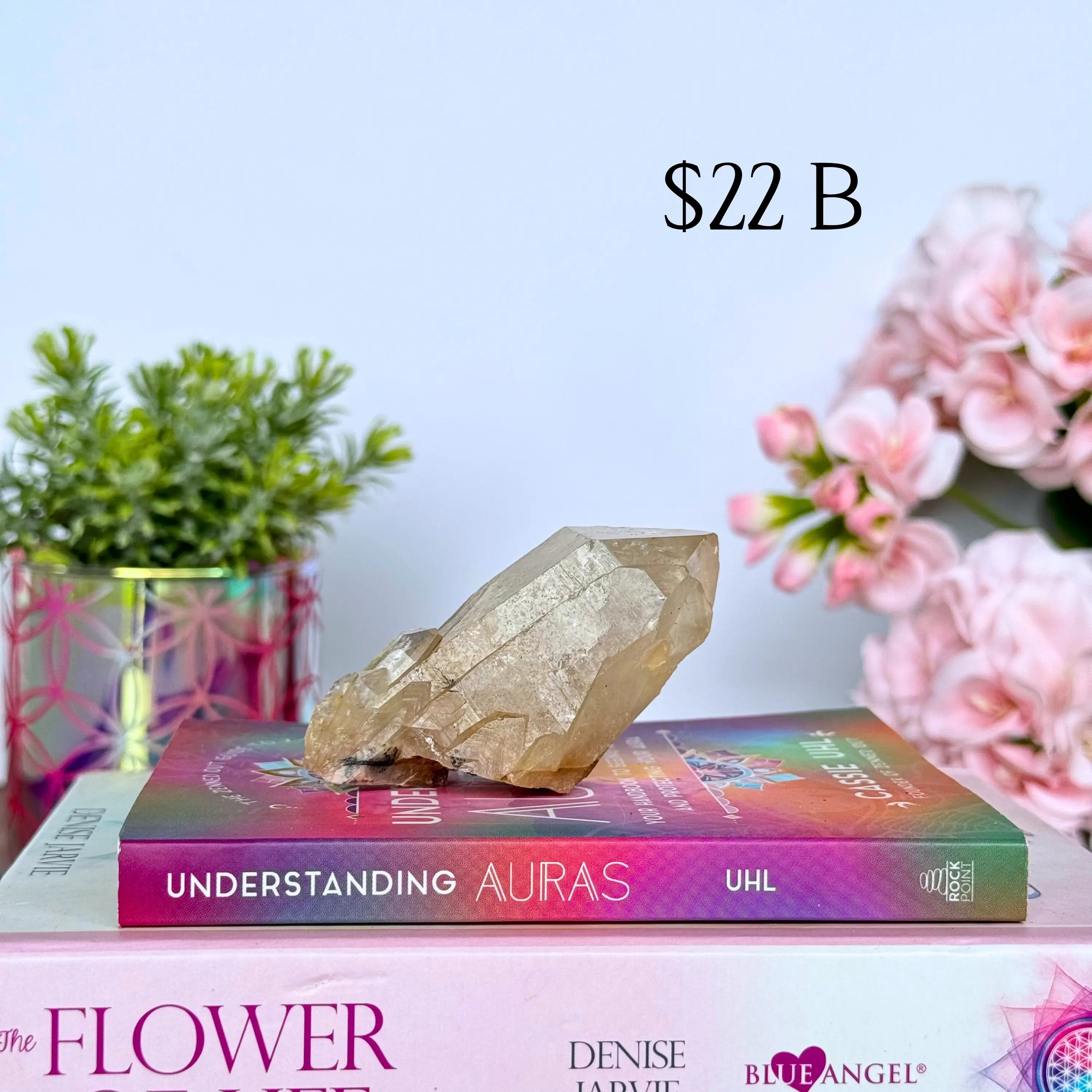 Kundalini Citrine Clusters Arabella Crystals