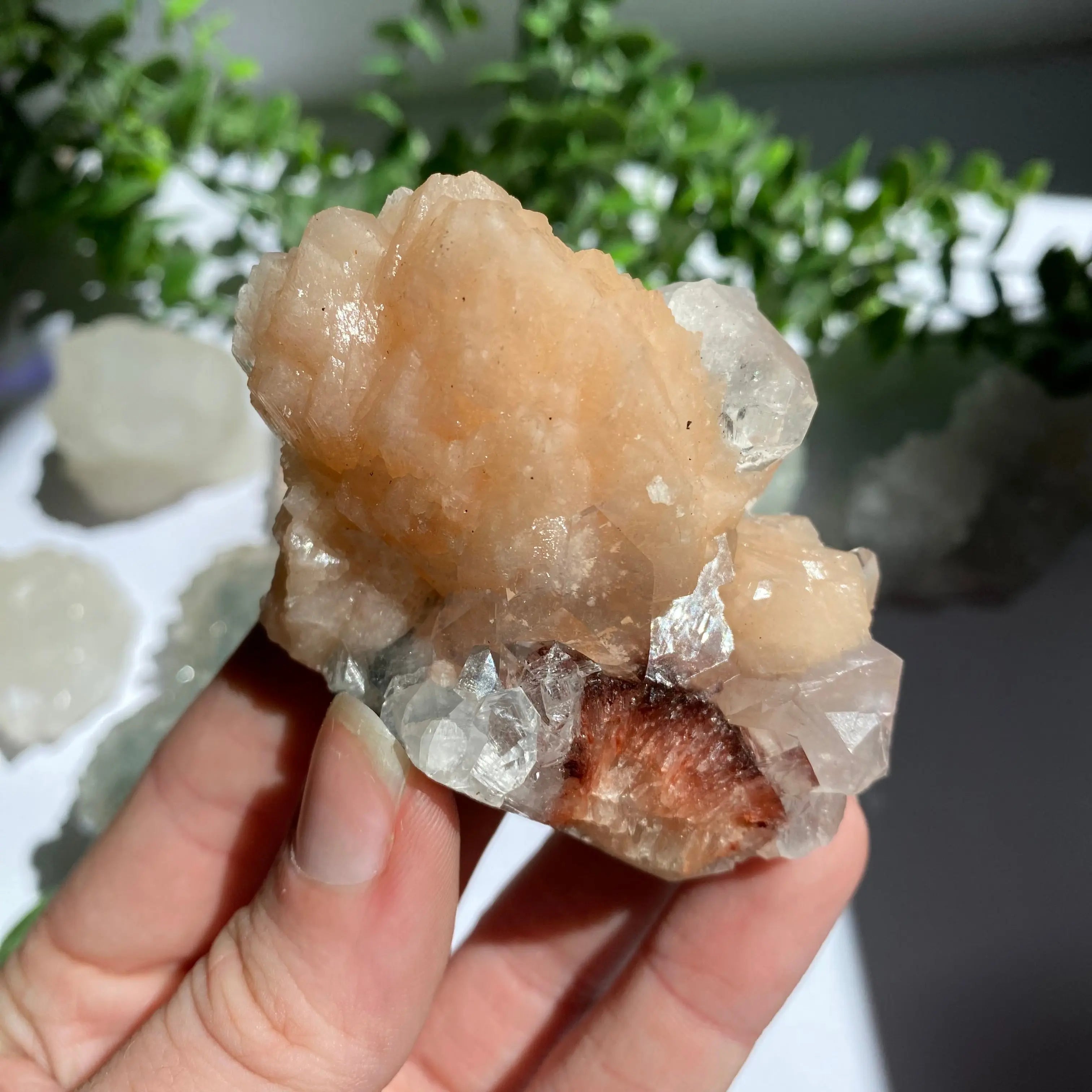 Zeolite Cluster Arabella Crystals