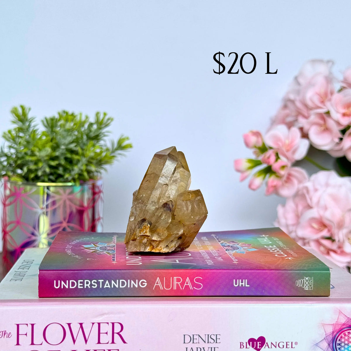 Kundalini Citrine Clusters Arabella Crystals