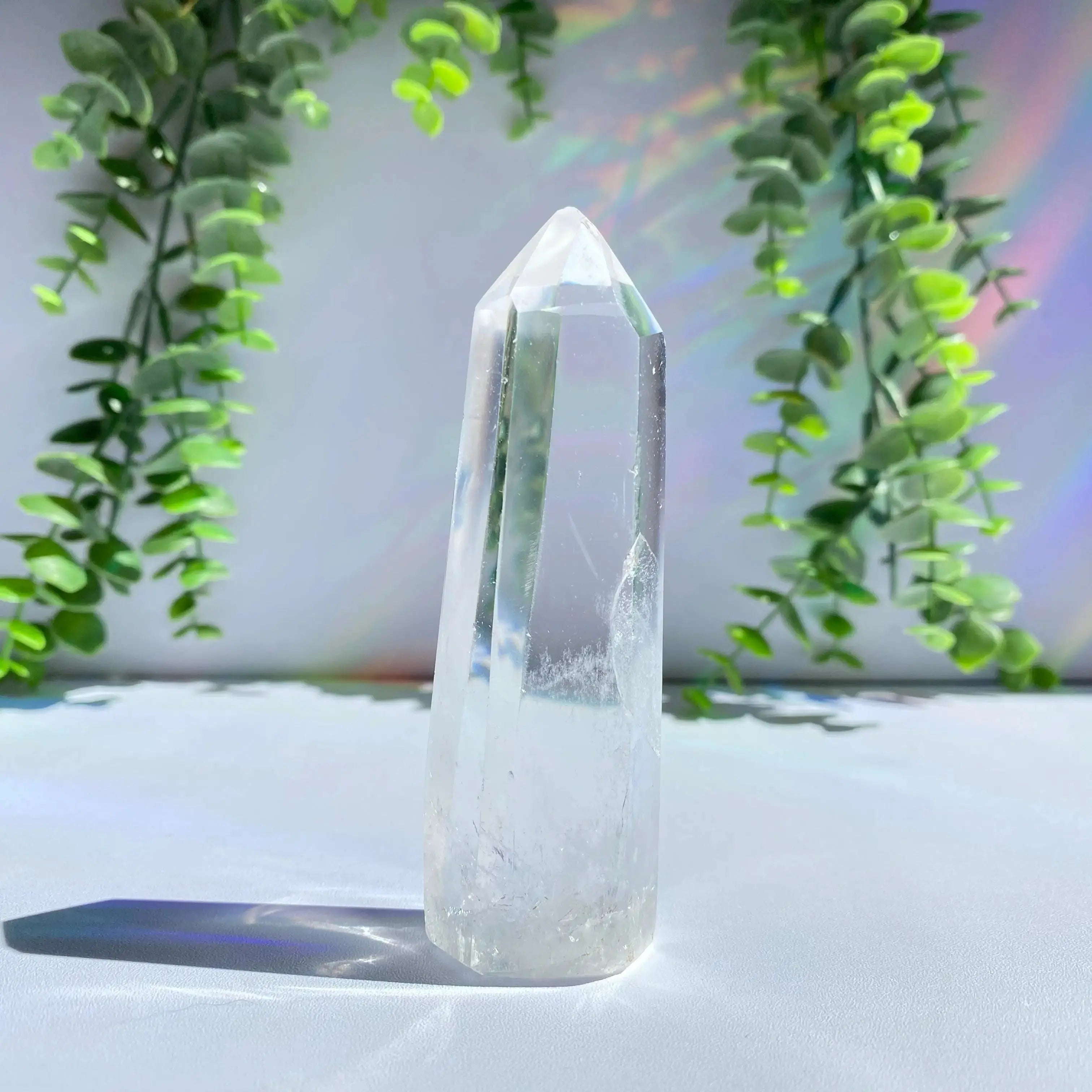 Clear Quartz Point Arabella Crystals