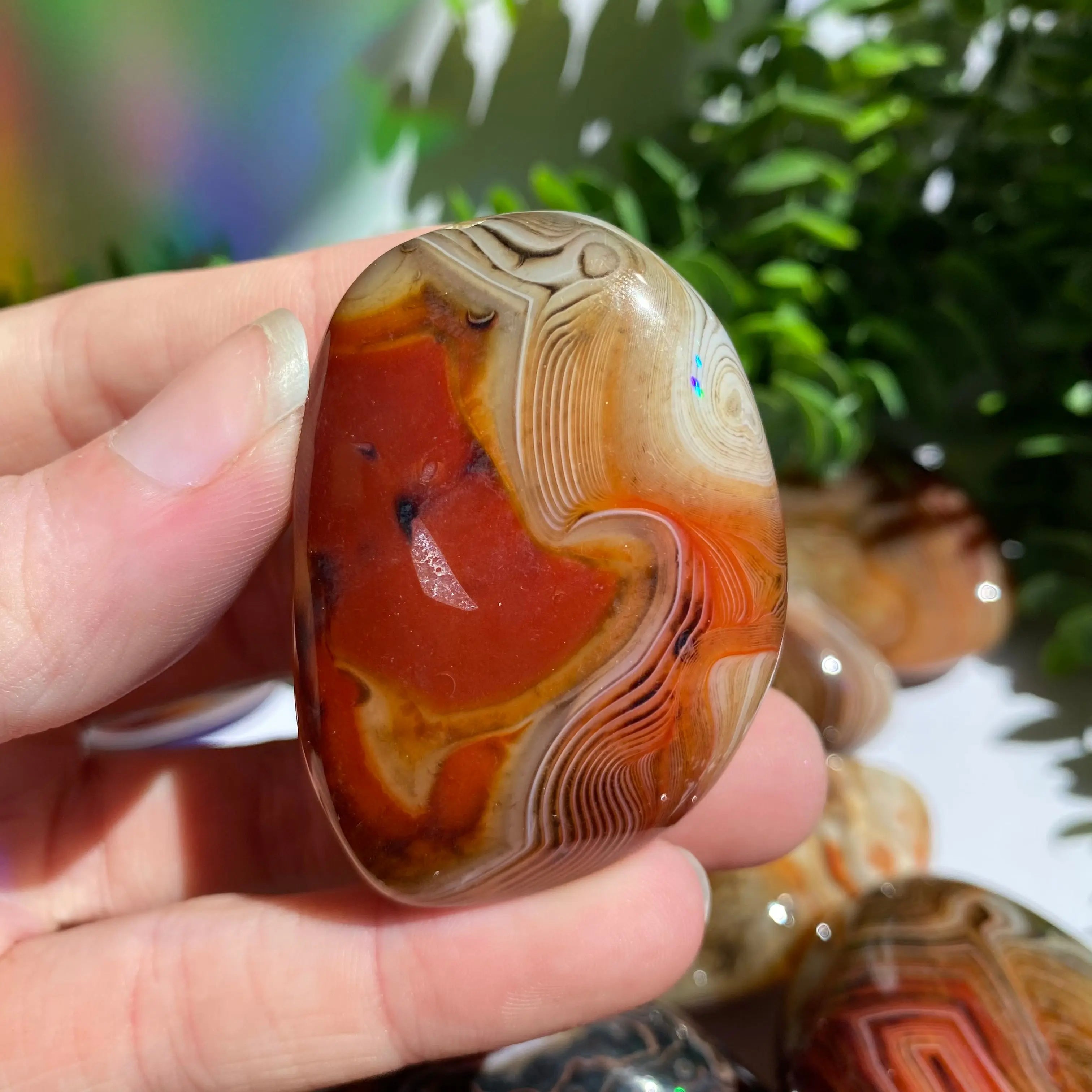 Sardonyx (Carnelian X Onyx) Palm Stone for Passion & Creativity