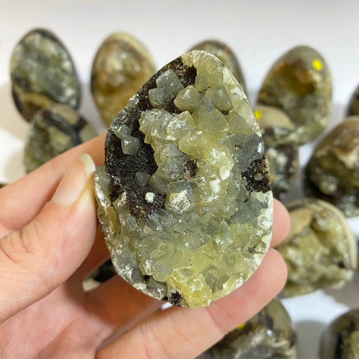 Septarian Agate Egg Arabella Crystals