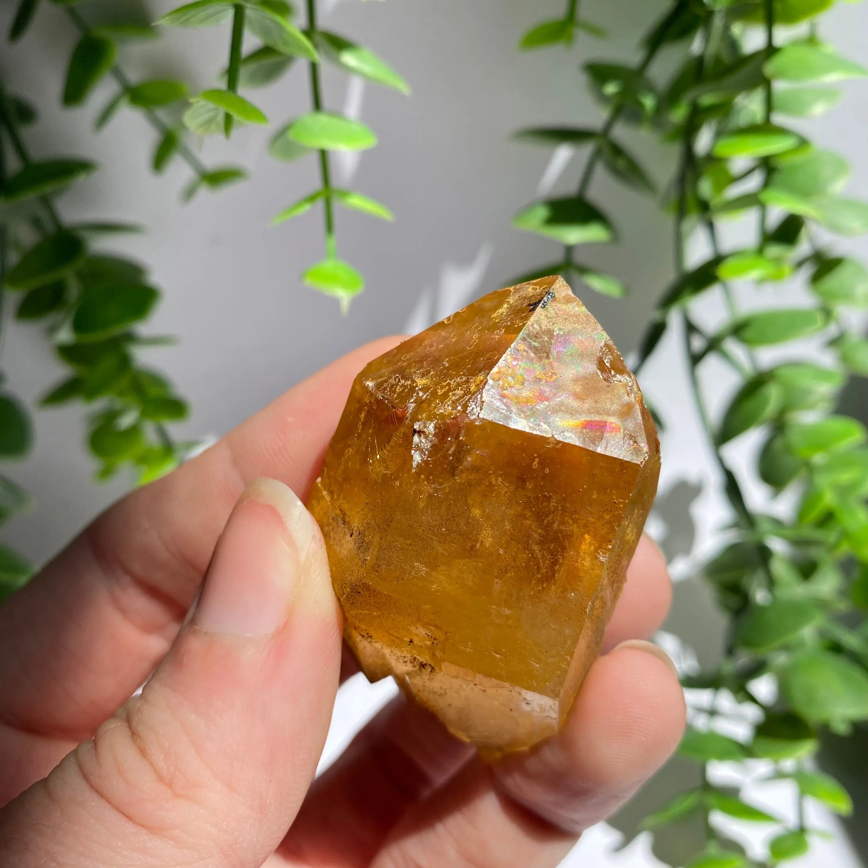 Golden Healer Cluster Arabella Crystals
