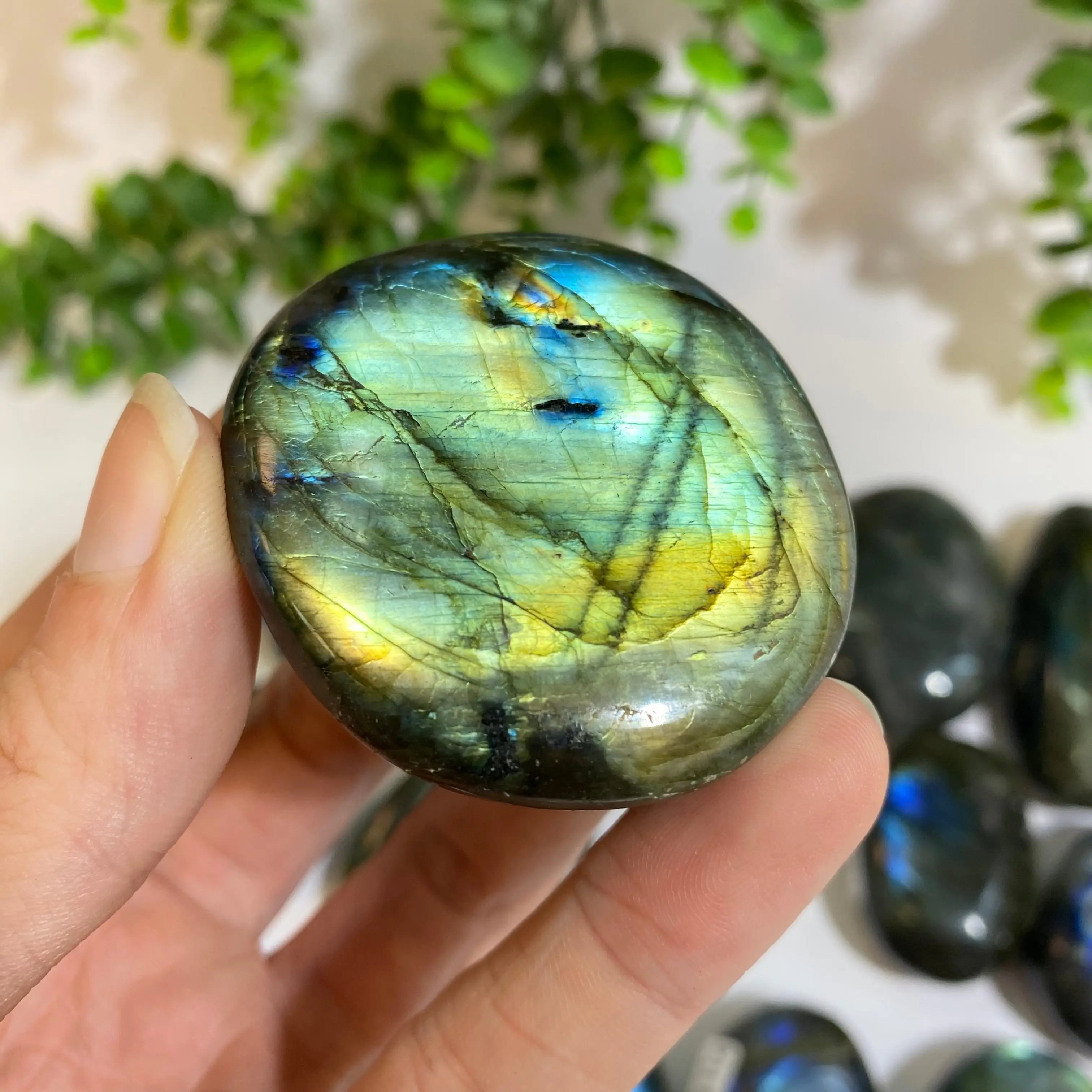 Labradorite Palm Stone Arabella Crystals