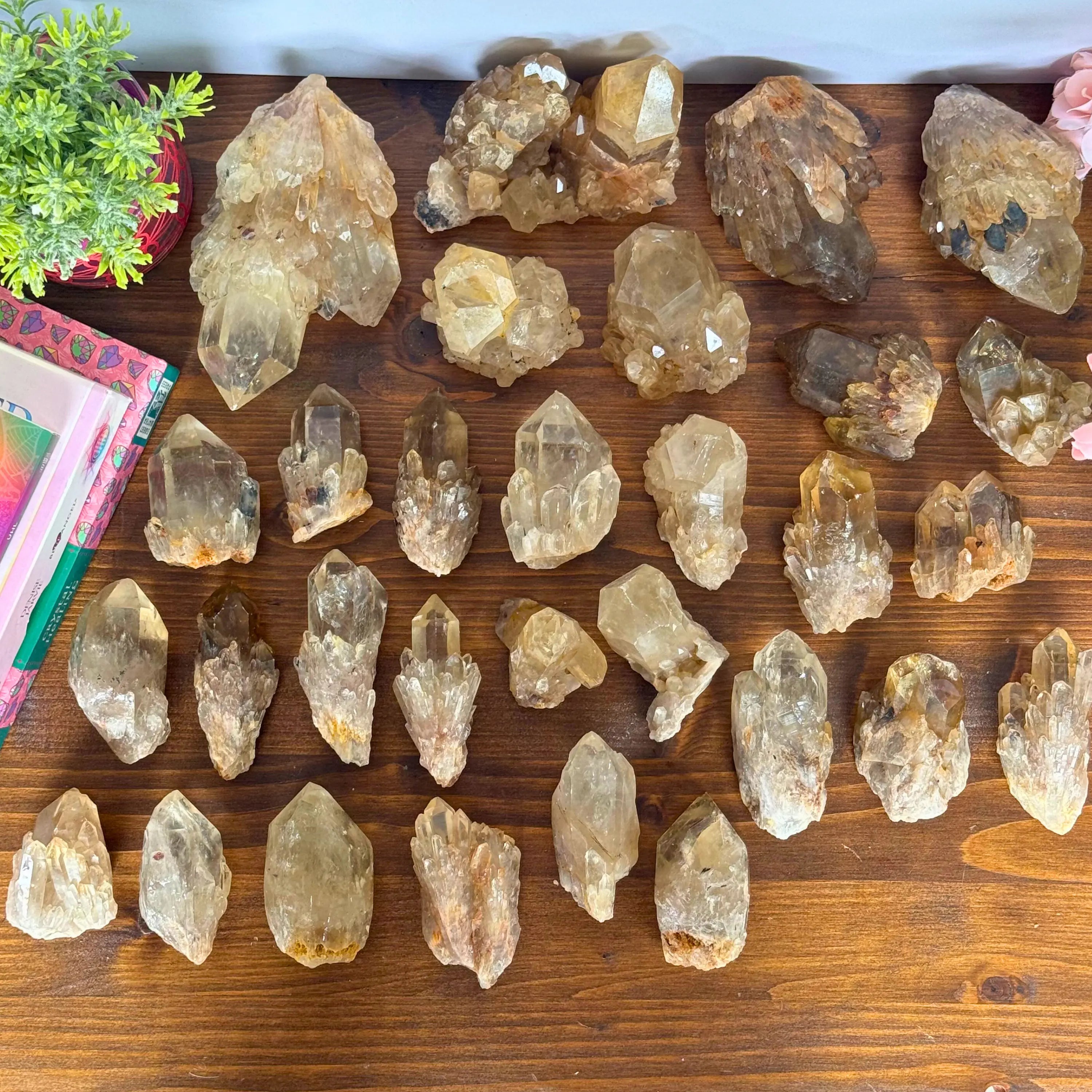 Kundalini Citrine Clusters Arabella Crystals