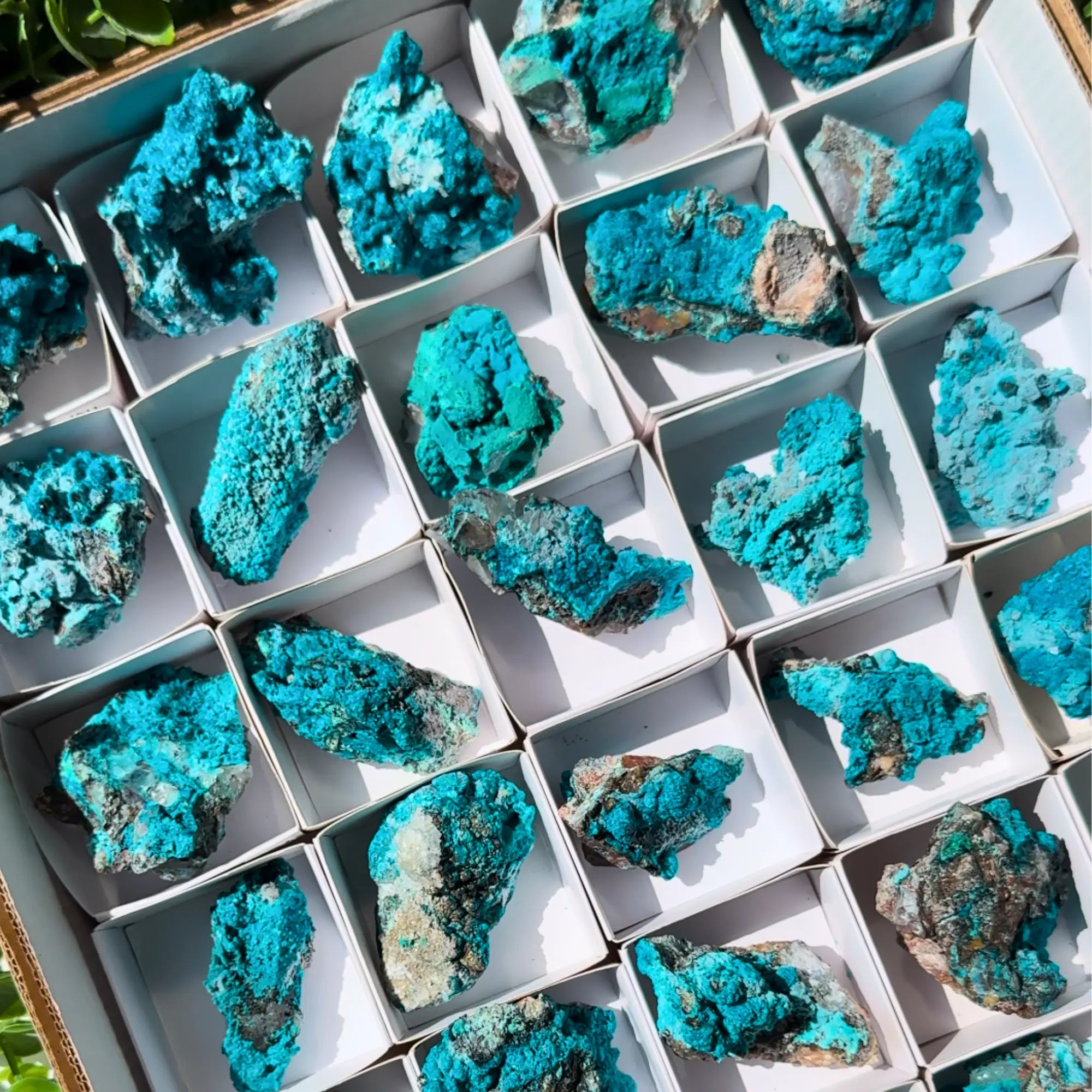 Chrysocolla on Quartz Clusters Arabella Crystals