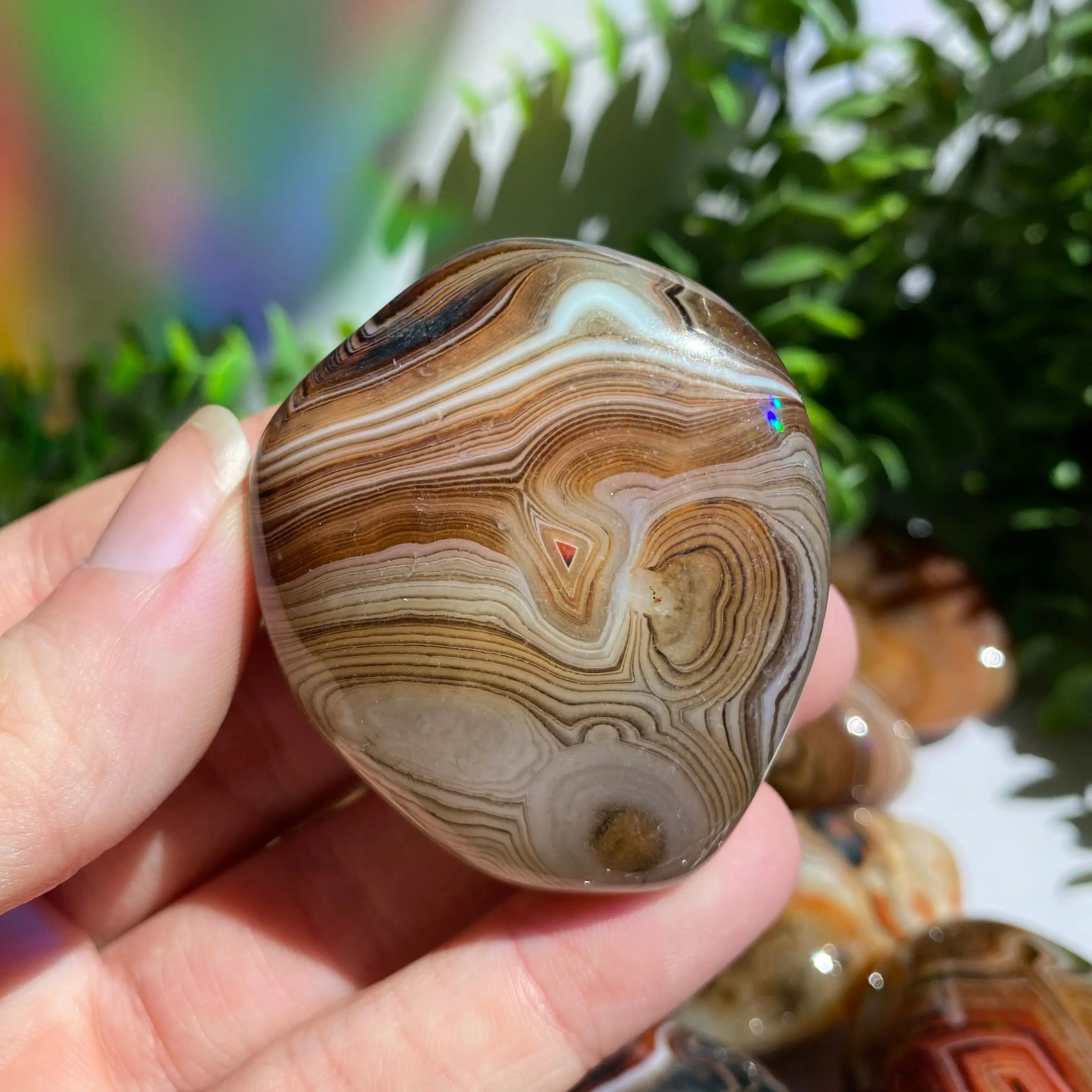 Sardonyx (Carnelian X Onyx) Palm Stone for Passion & Creativity