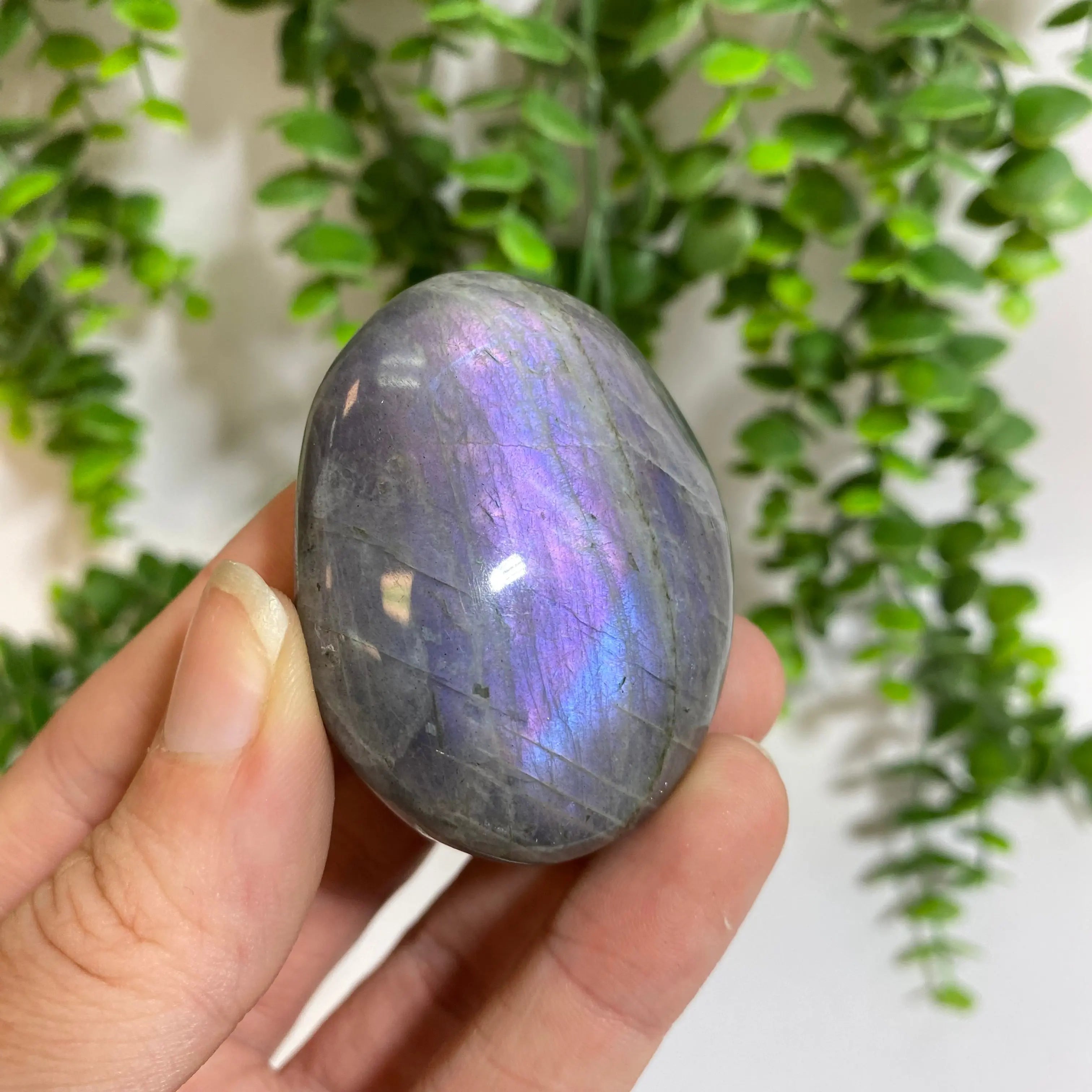 Purple Labradorite Palm Stone Arabella Crystals