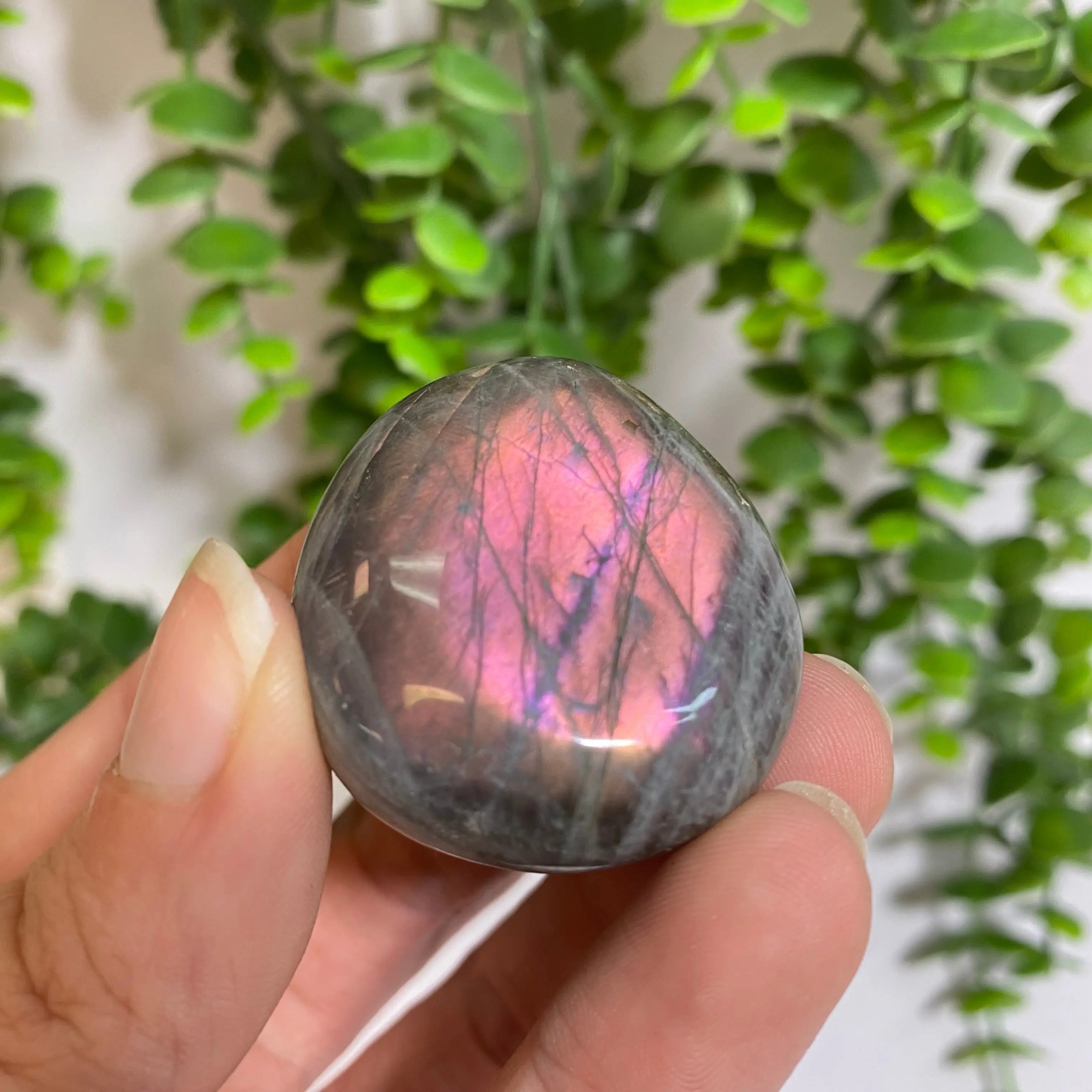 Purple Labradorite Palm Stone Arabella Crystals