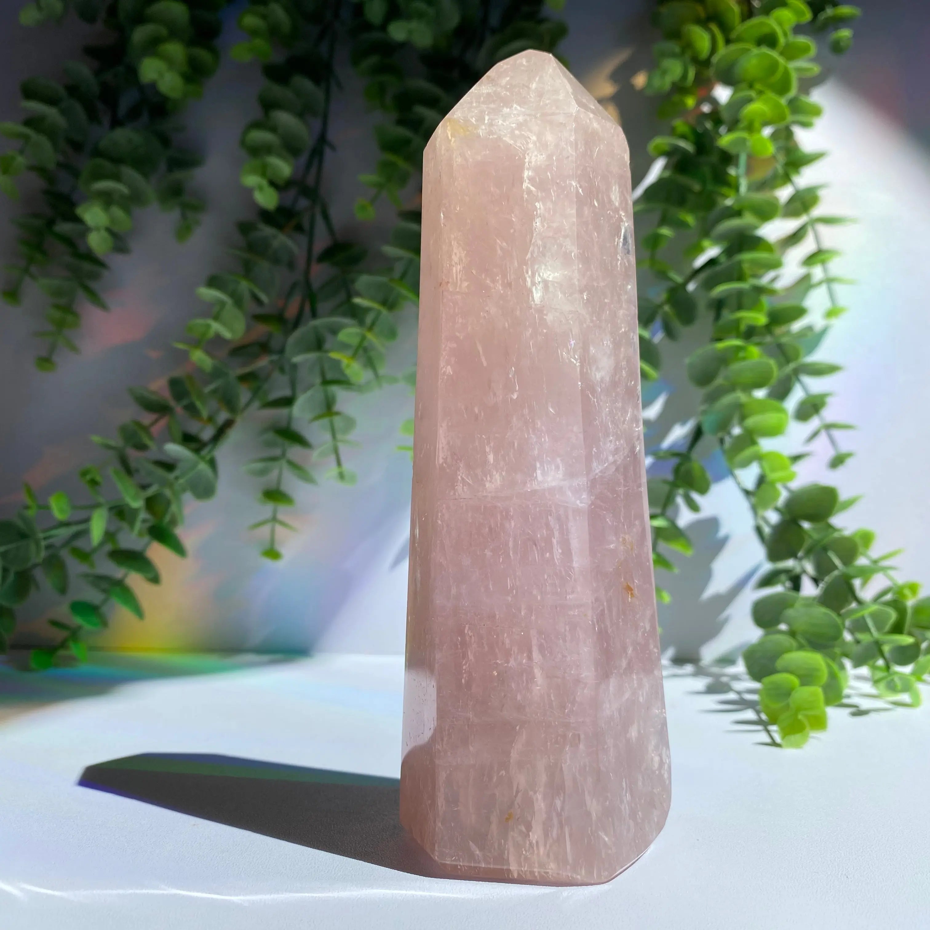 Rose Quartz Point Arabella Crystals