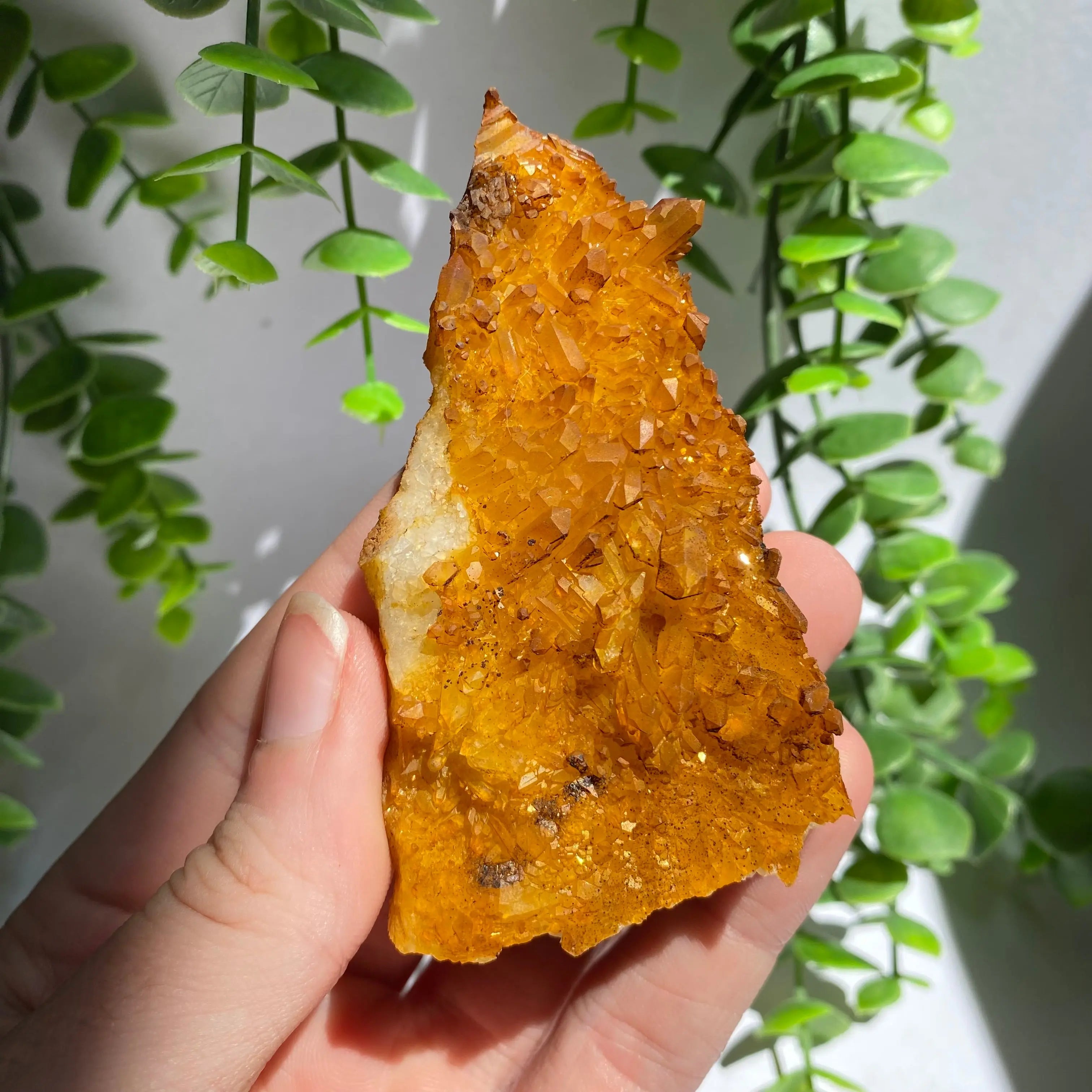 Golden Healer Cluster Arabella Crystals