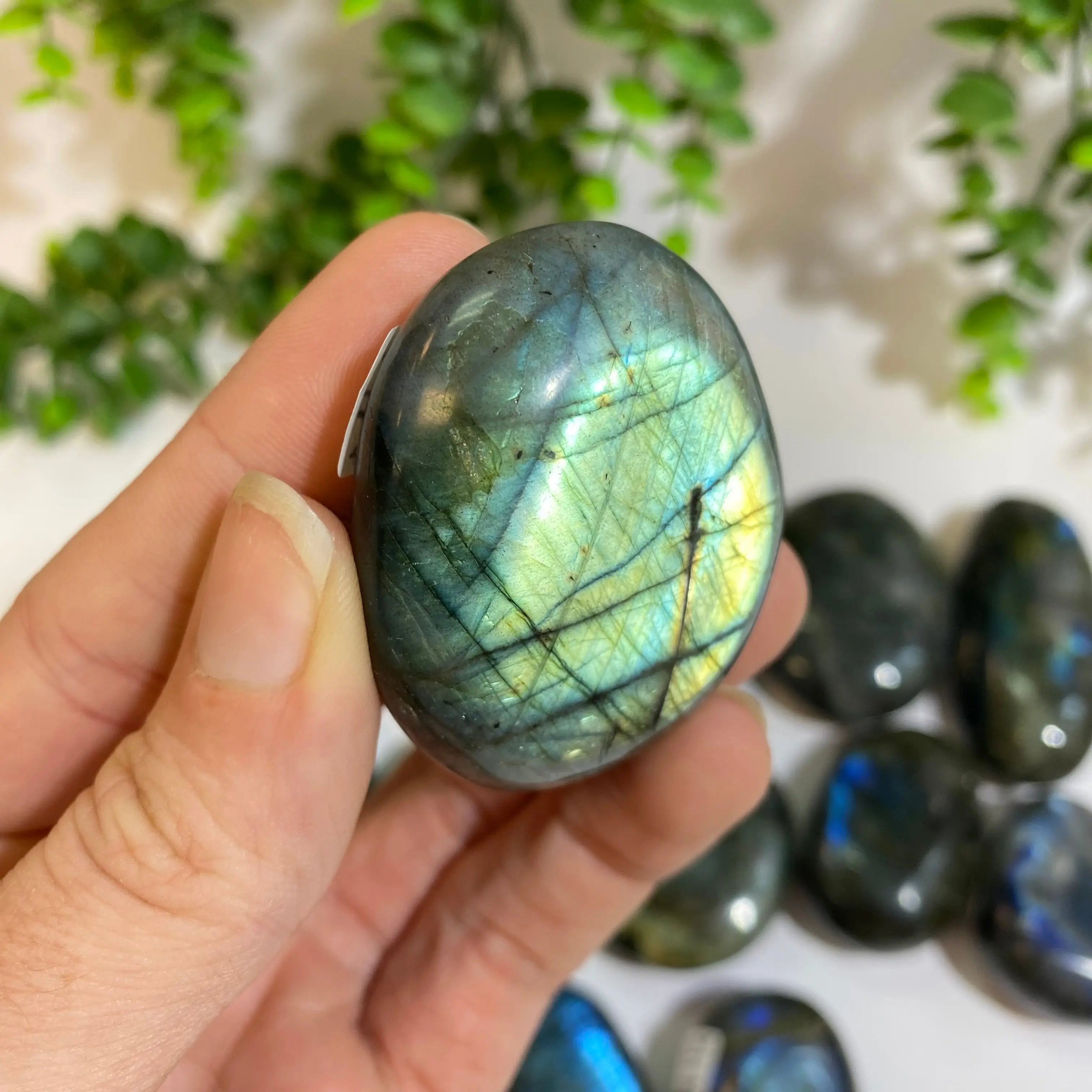 Labradorite Palm Stone Arabella Crystals