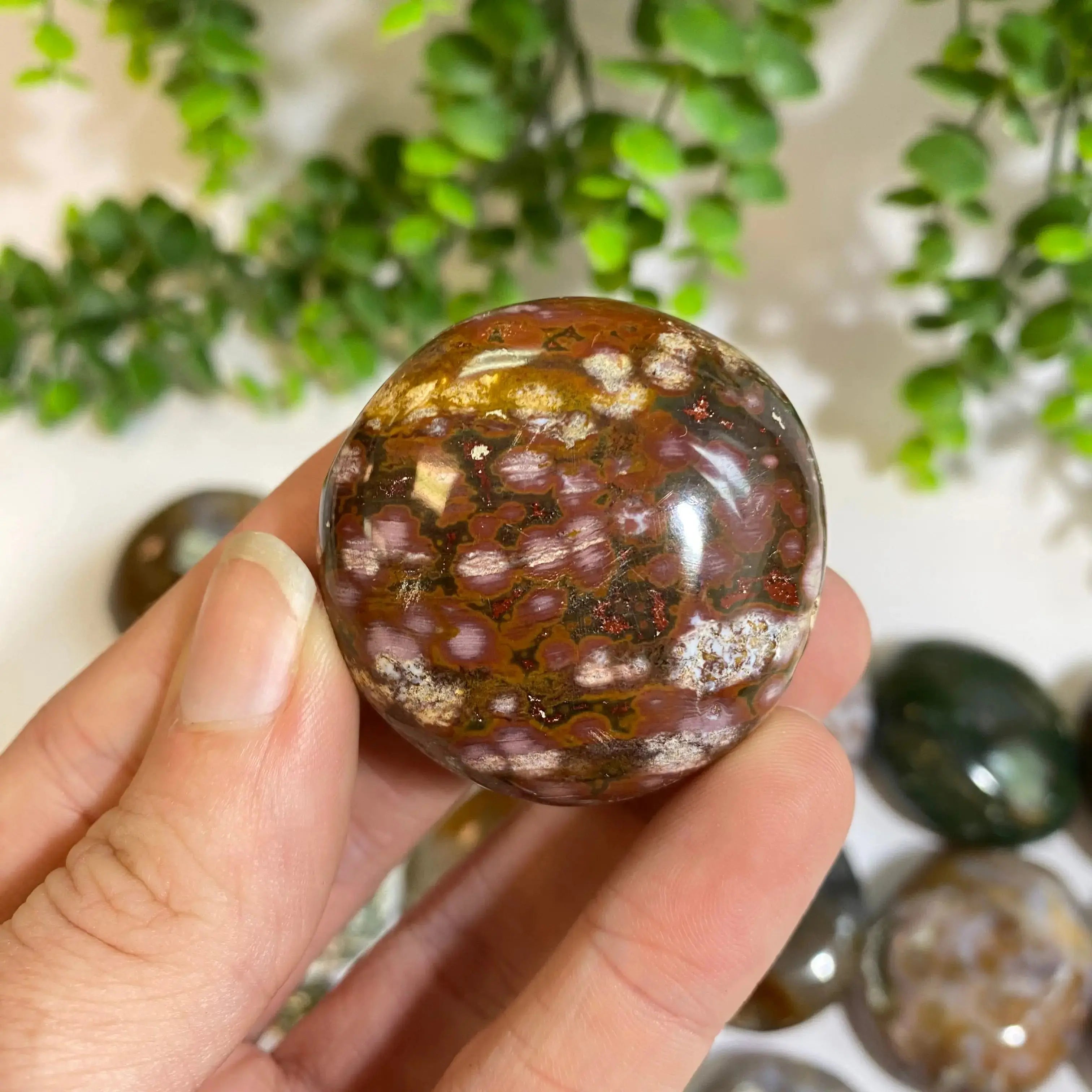 Ocean Jasper Palm Stone Arabella Crystals