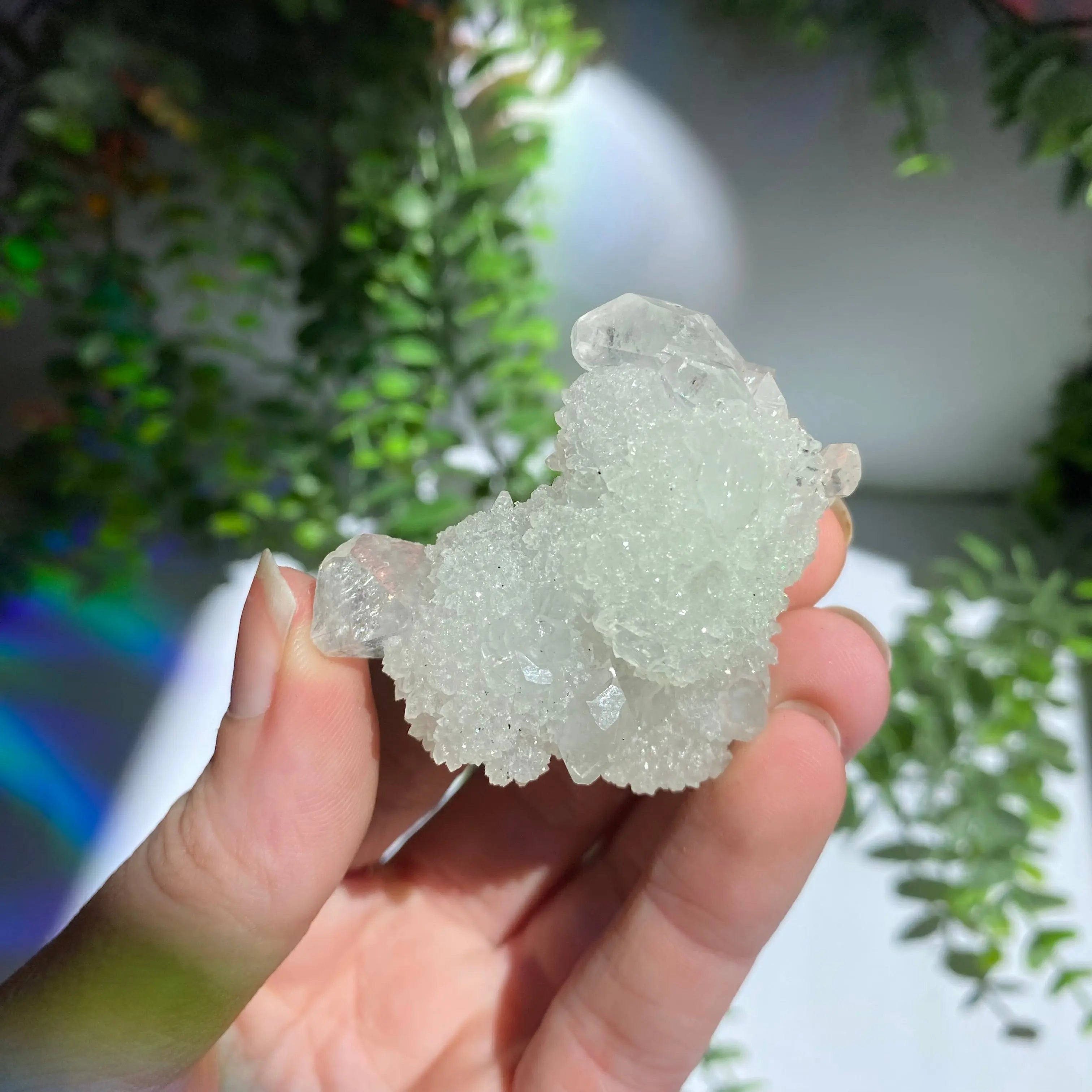 Zeolite Cluster Arabella Crystals