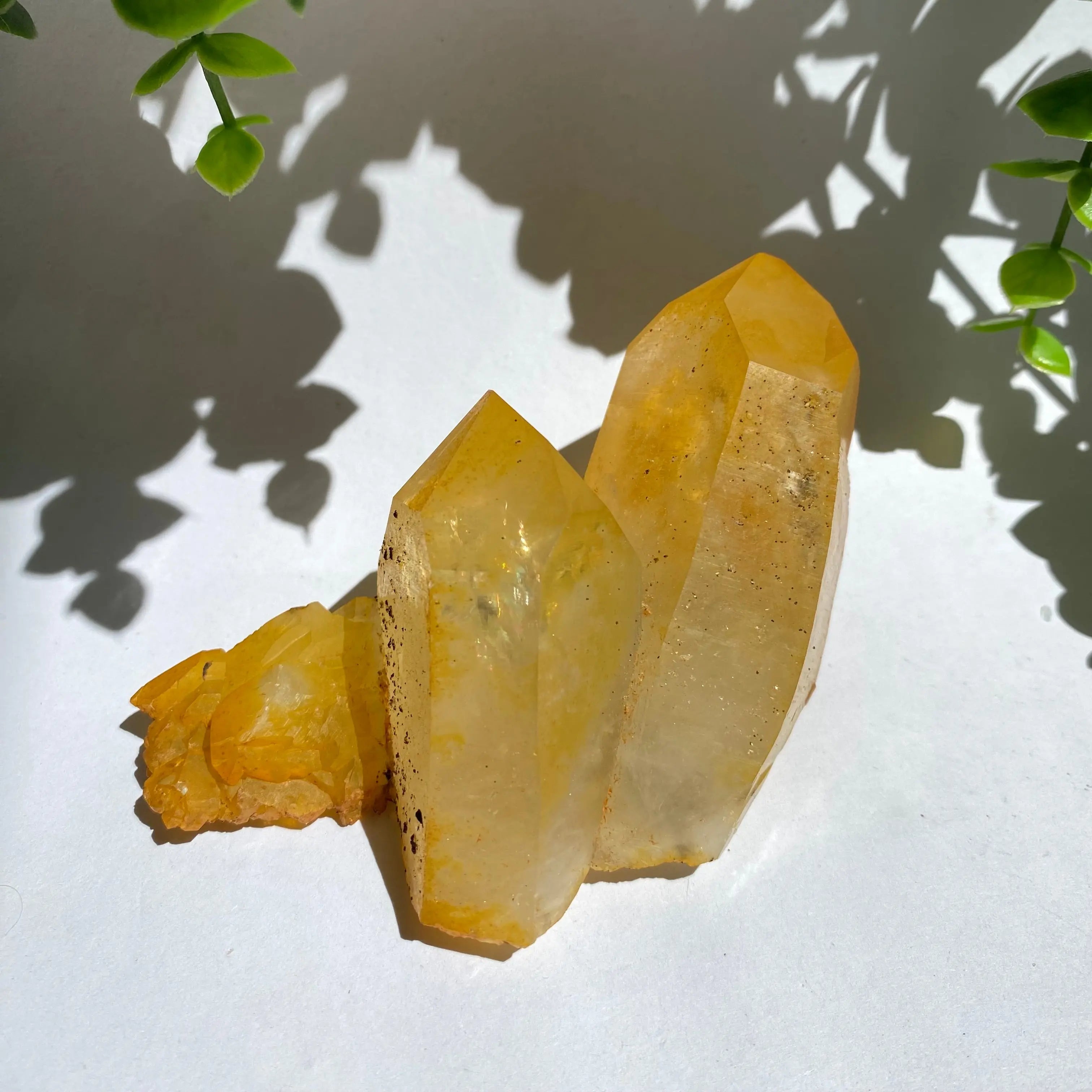 Golden Healer Cluster Arabella Crystals