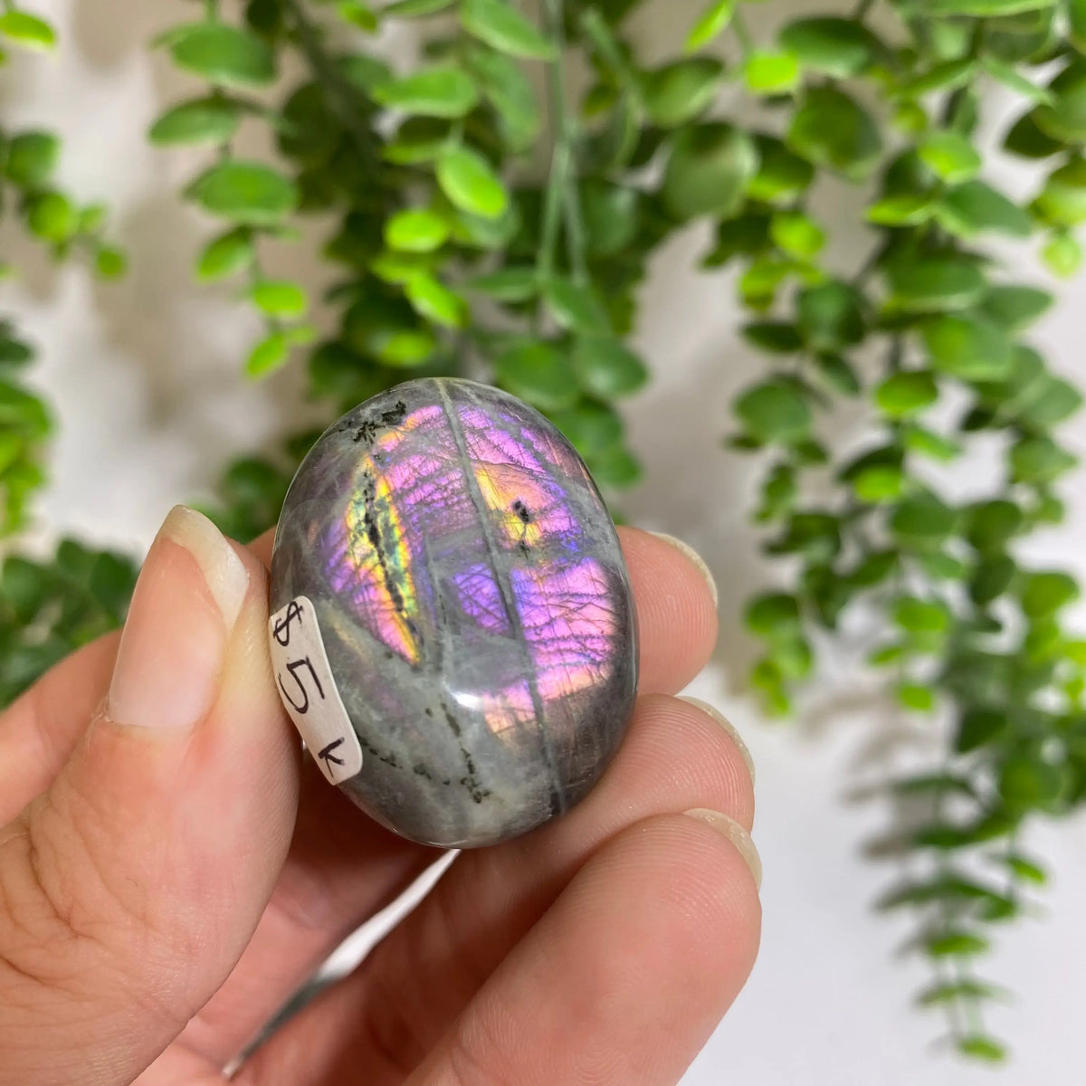 Purple Labradorite Palm Stone Arabella Crystals
