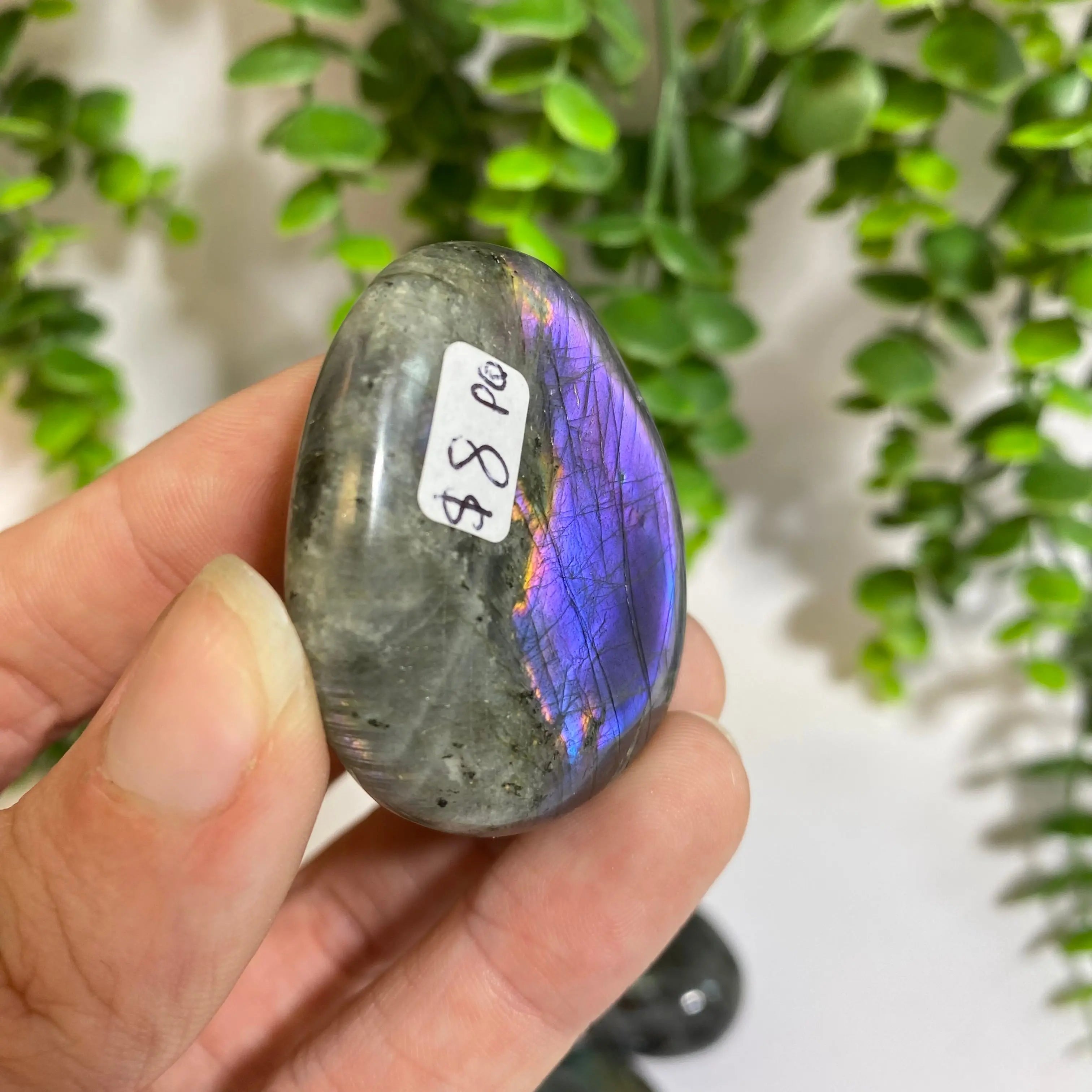Purple Labradorite Palm Stone Arabella Crystals