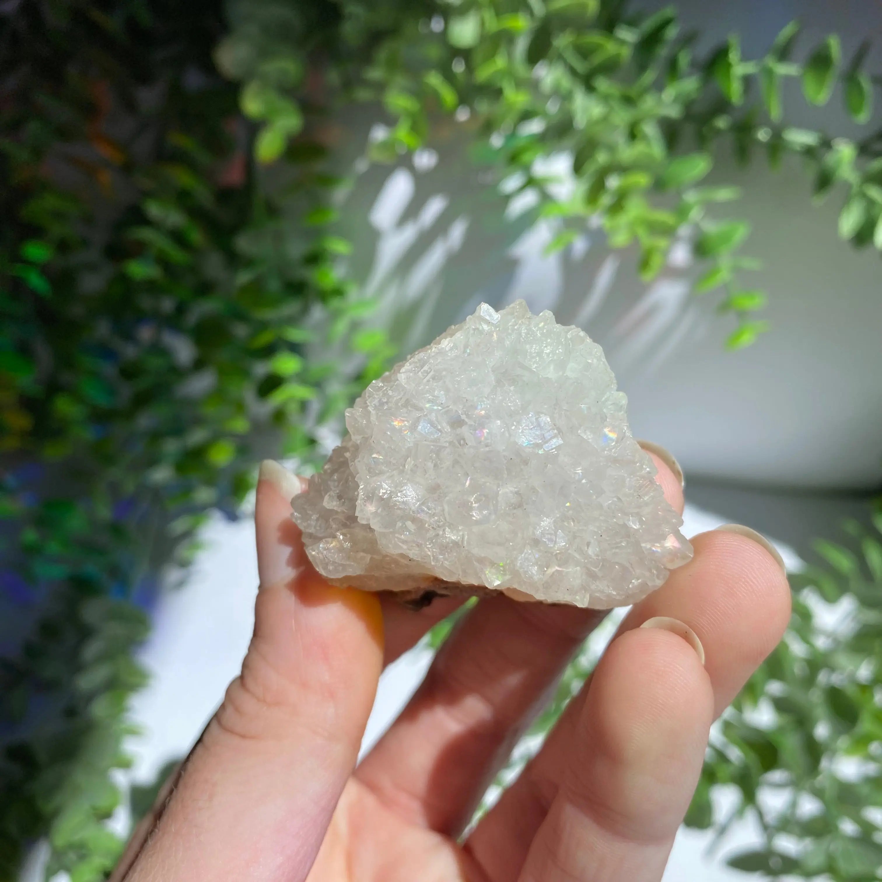 Zeolite Cluster Arabella Crystals