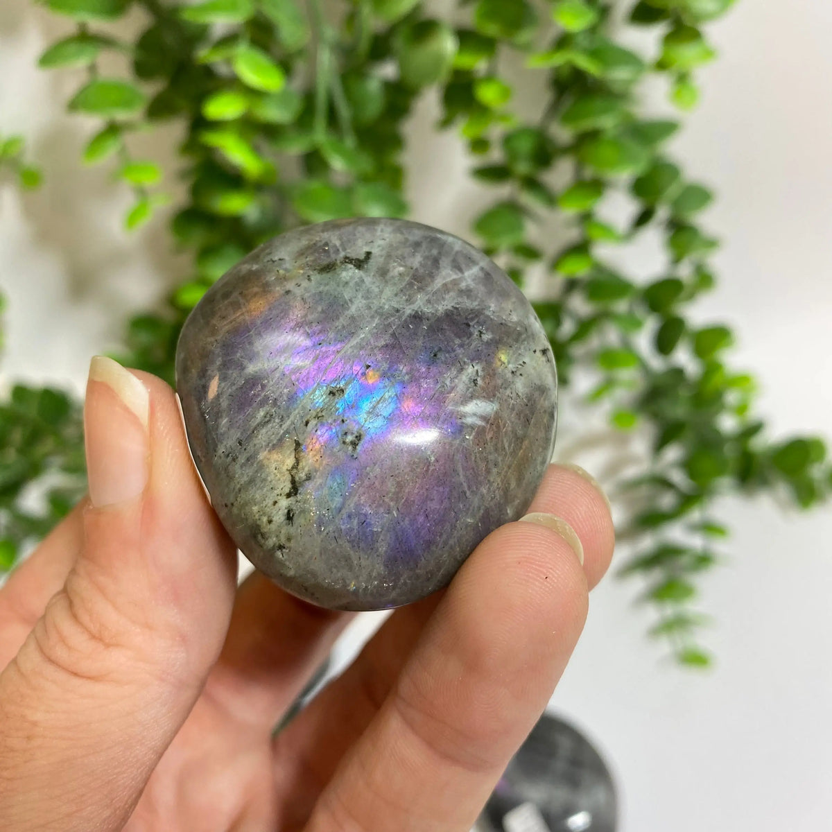 Purple Labradorite Palm Stone Arabella Crystals