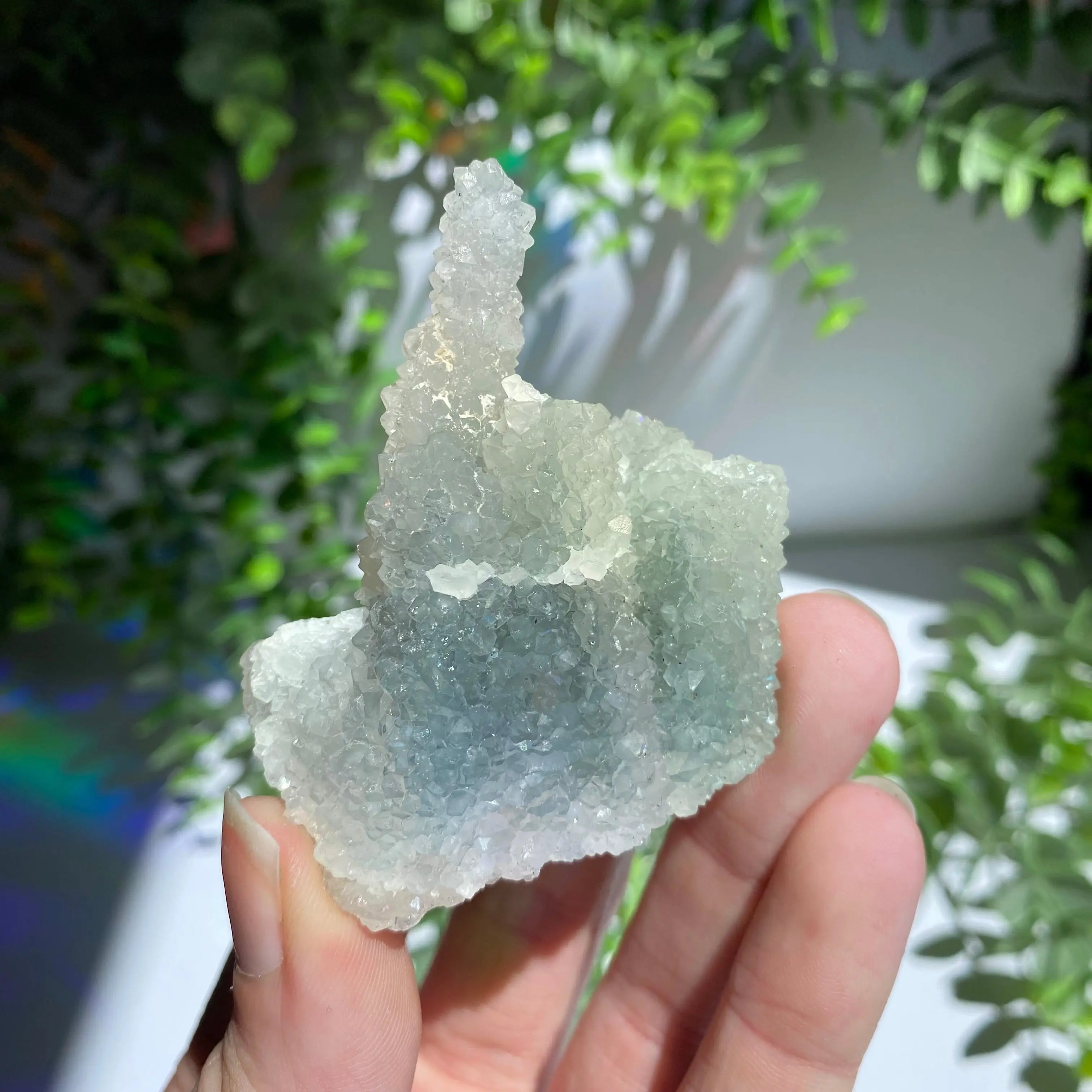 Zeolite Cluster Arabella Crystals