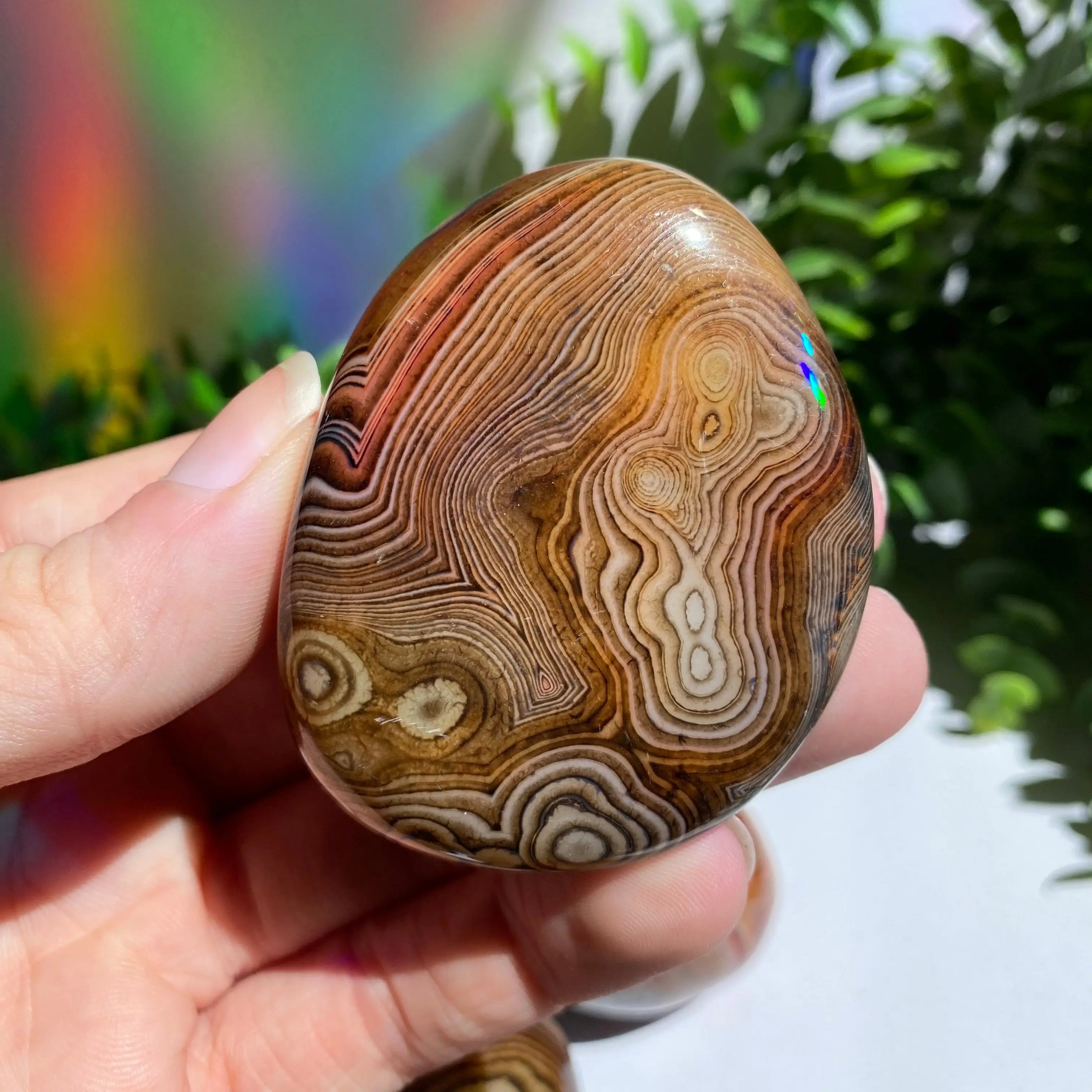 Sardonyx (Carnelian X Onyx) Palm Stone for Passion & Creativity