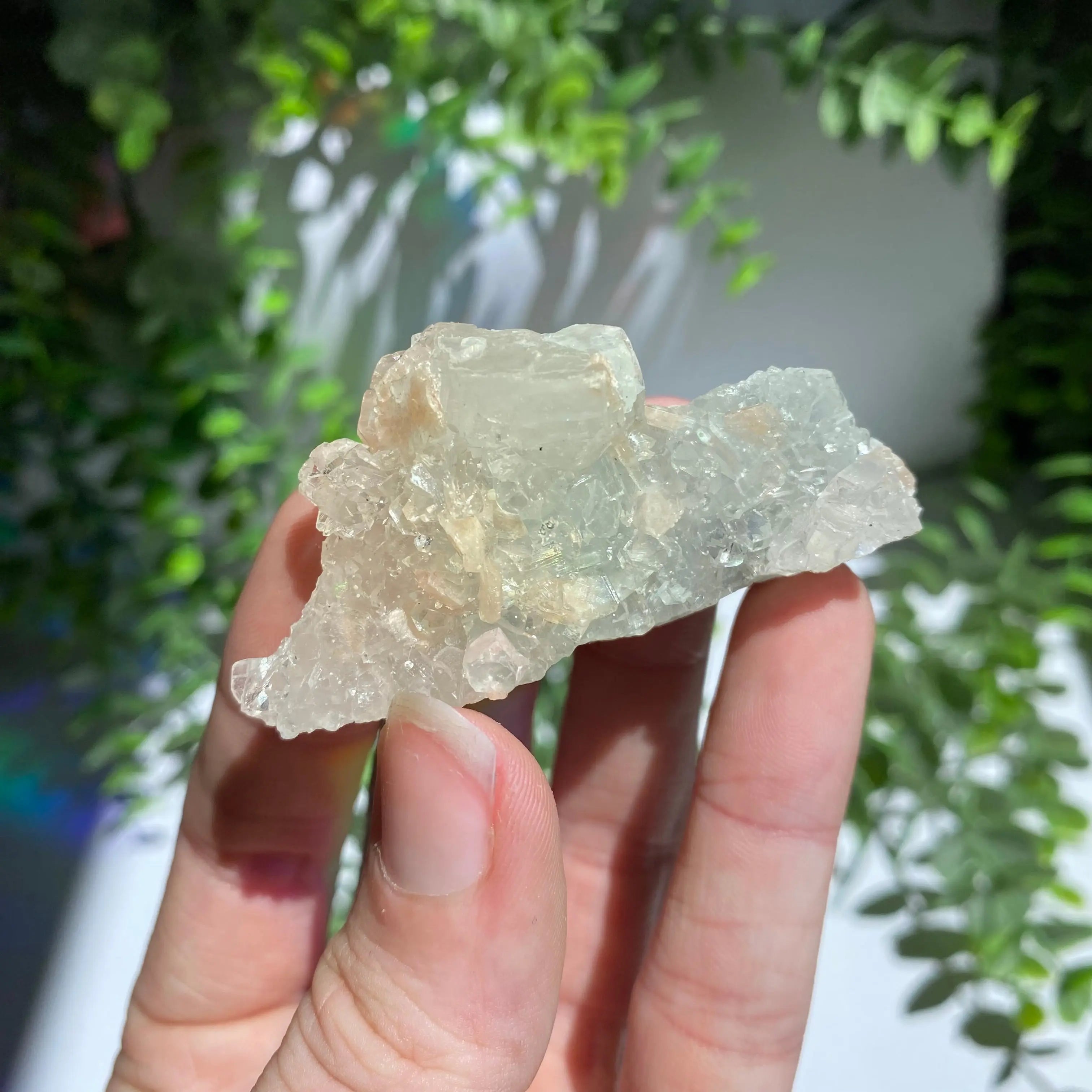 Zeolite Cluster Arabella Crystals