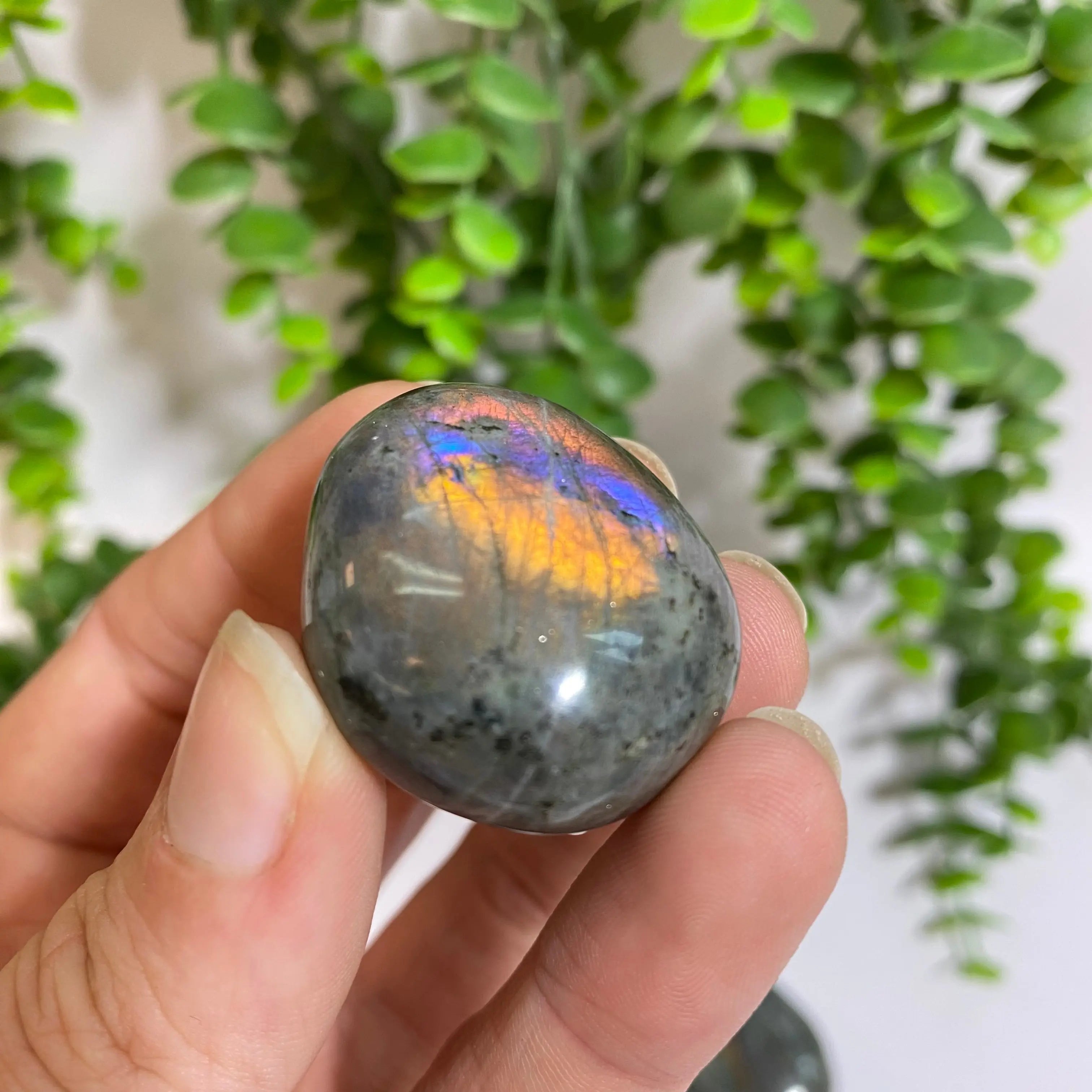 Purple Labradorite Palm Stone Arabella Crystals