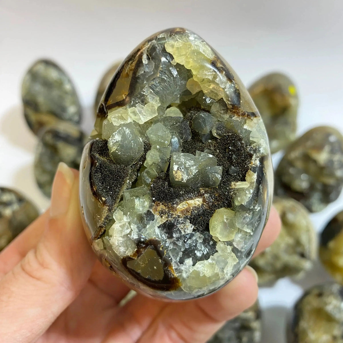 Septarian Agate Egg Arabella Crystals