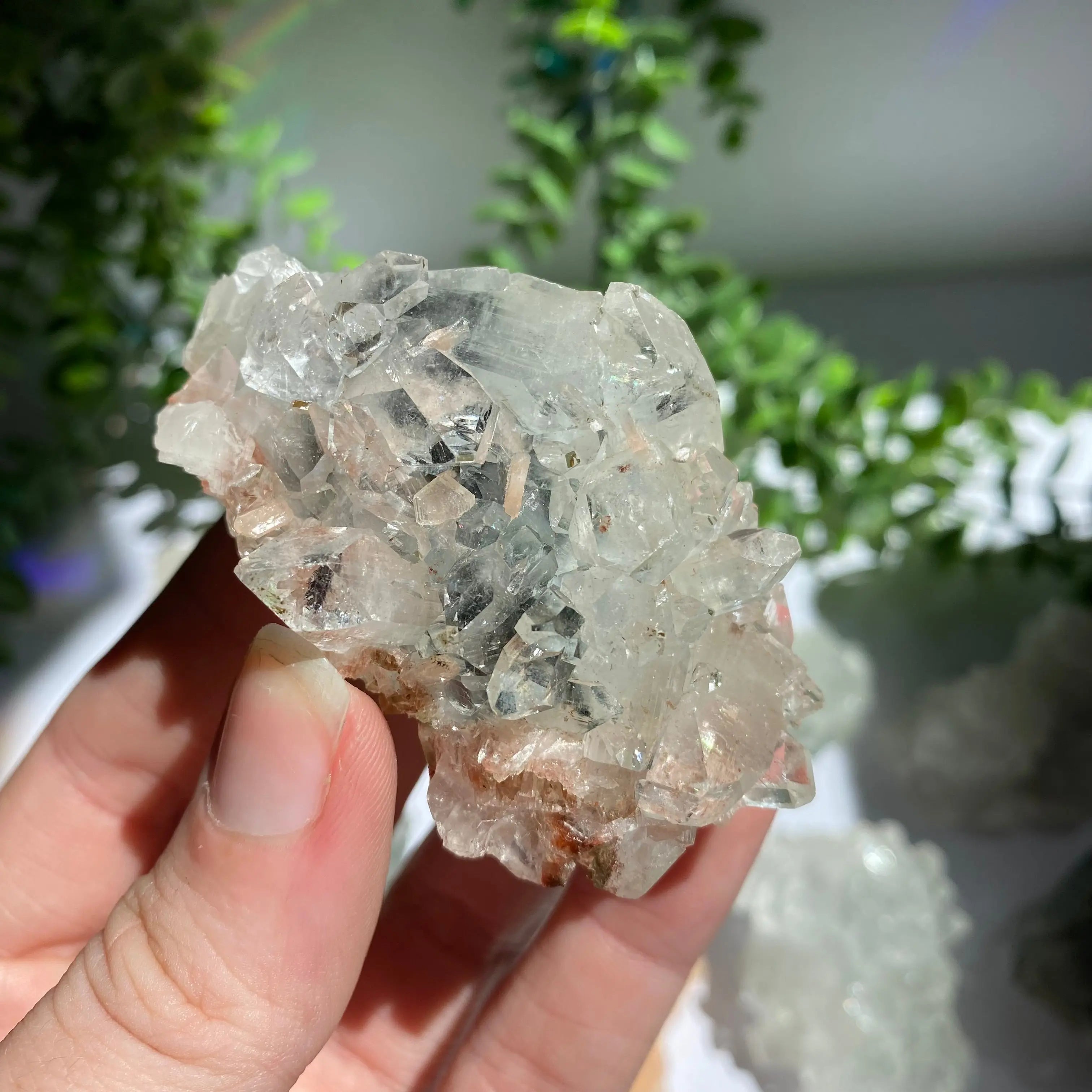 Zeolite Cluster Arabella Crystals