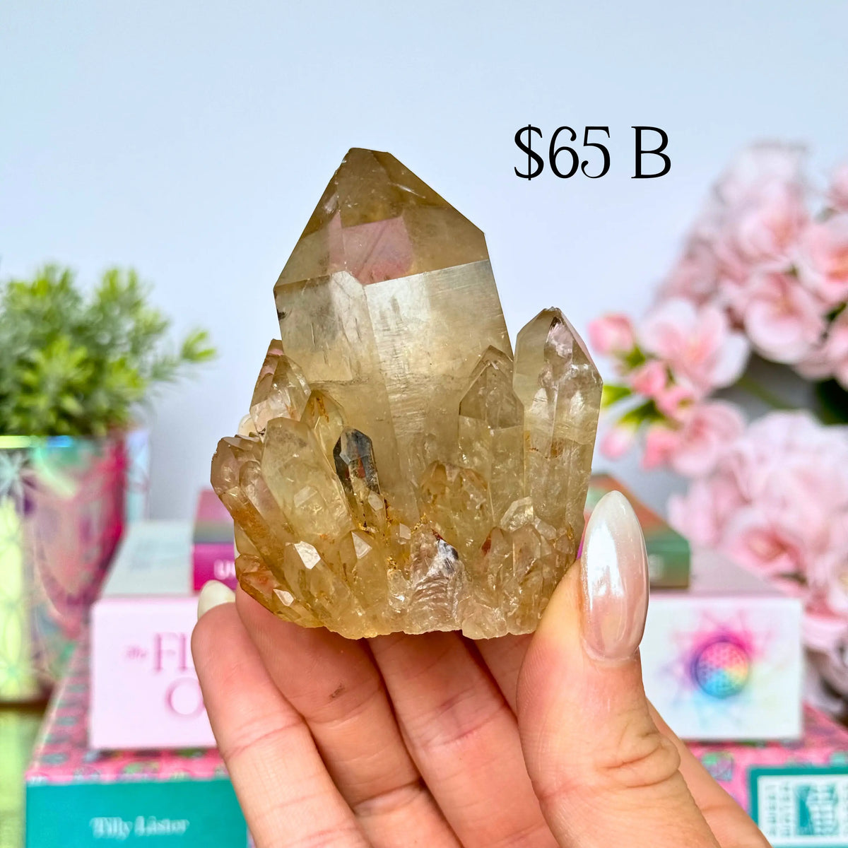 Kundalini Citrine Clusters Arabella Crystals